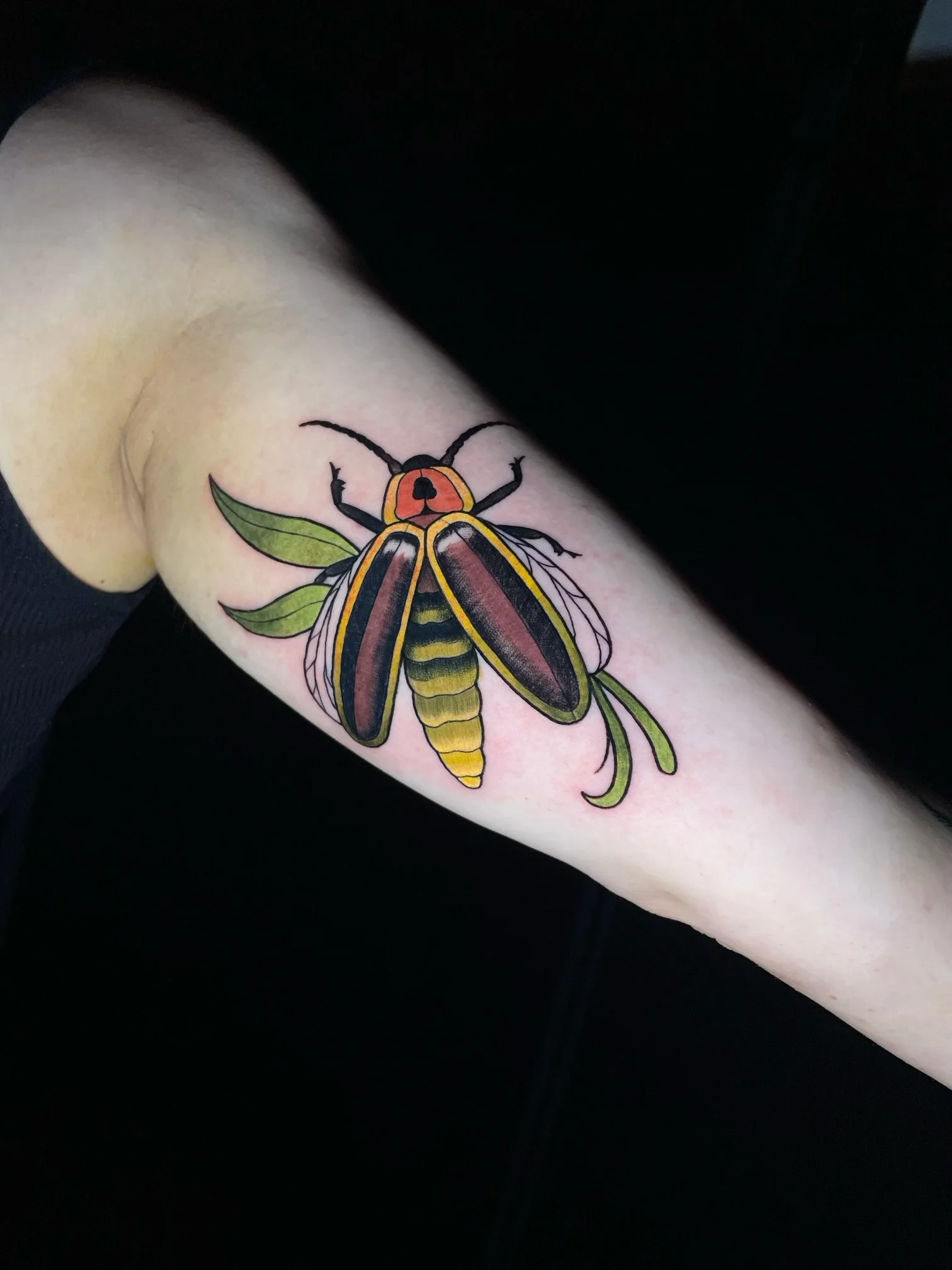 Colorful firefly tattoo on the upper arm featuring vibrant yellow and orange details, dark shaded wings, bold black outlines, and delicate green leaves in a neo-traditional style—tattoo by Hayden Herndon at Cloak Collective.