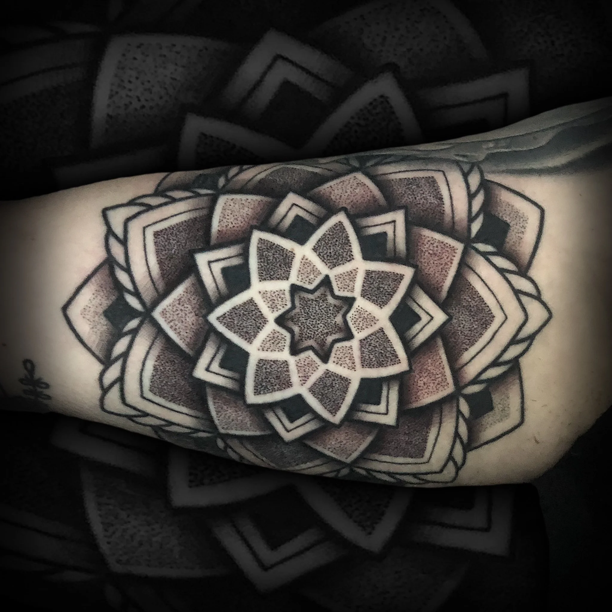 Untitled_Artwork 3.JPG