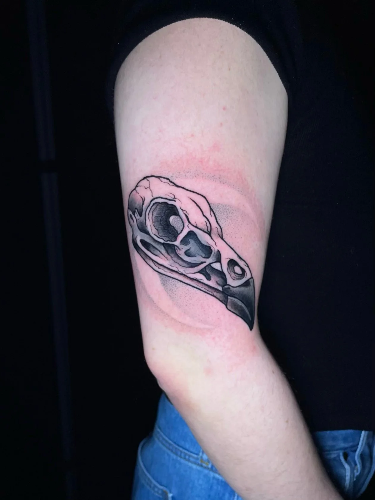 Black and gray bird skull tattoo on the upper arm featuring detailed anatomical bone structure, bold black outlines, realistic shading, and subtle dotwork accents—tattoo by Hayden Herndon at Cloak Collective.