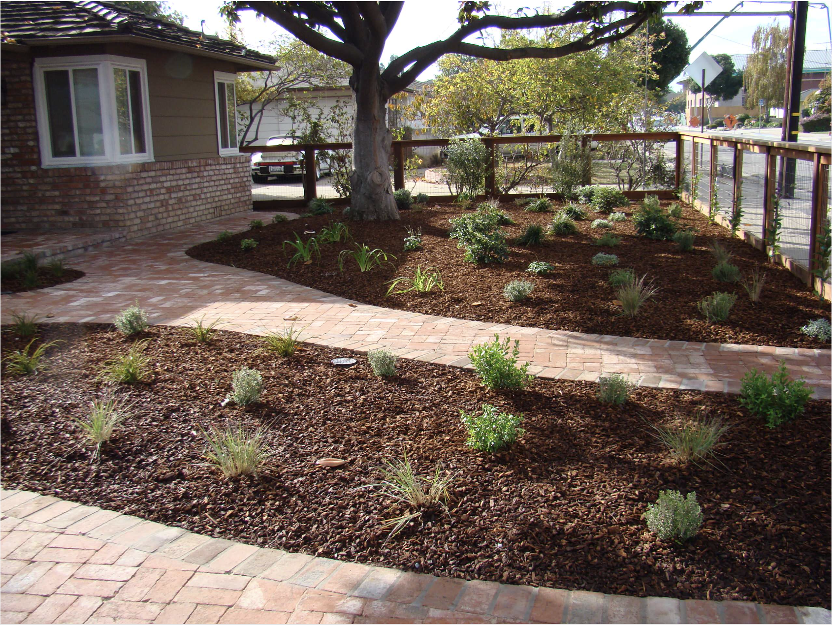 Top Tips for a Low-Maintenance Landscape