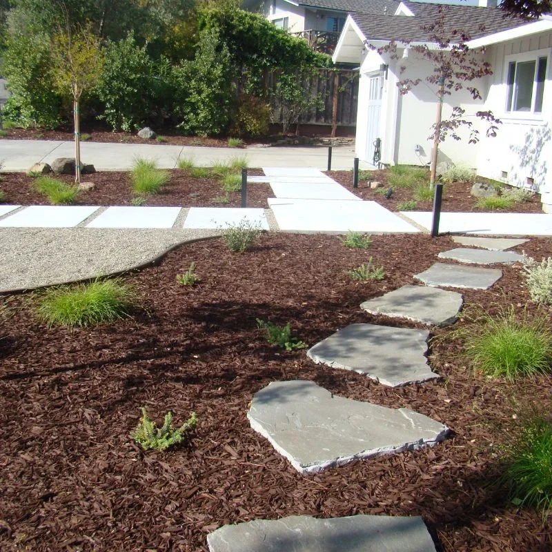 a natural stone path in a garden