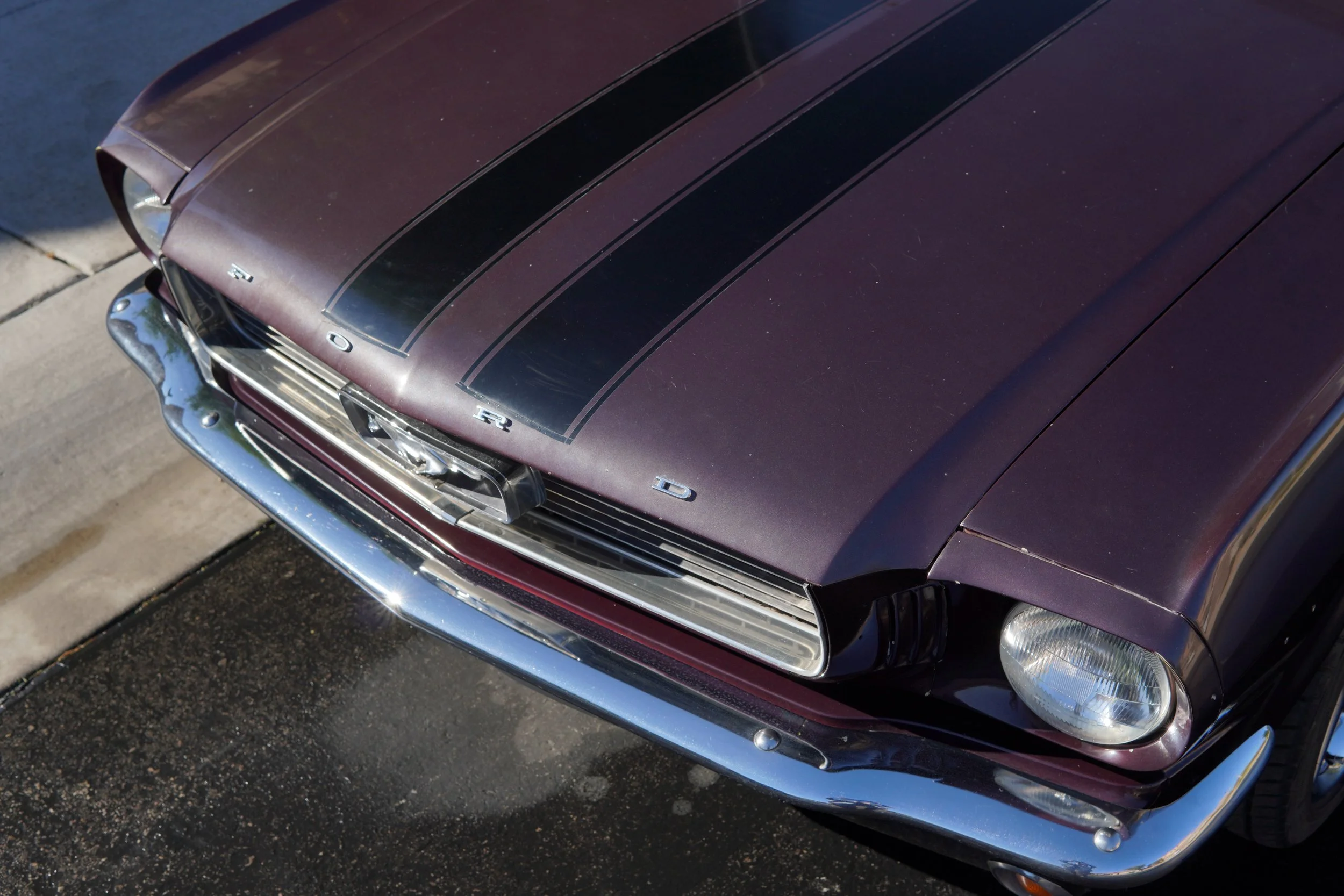 Jed's 1965 Mustang Coupe