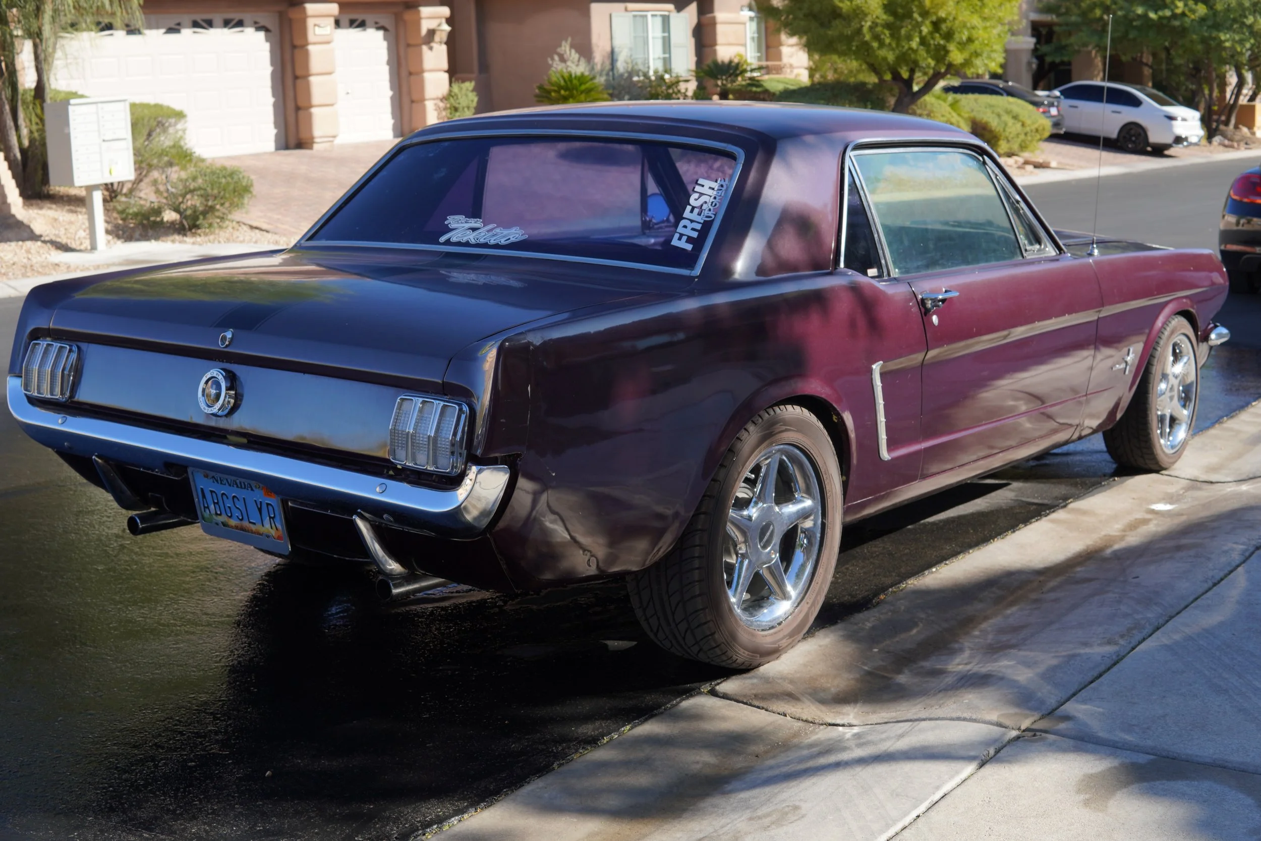 Jed's 1965 Mustang Coupe