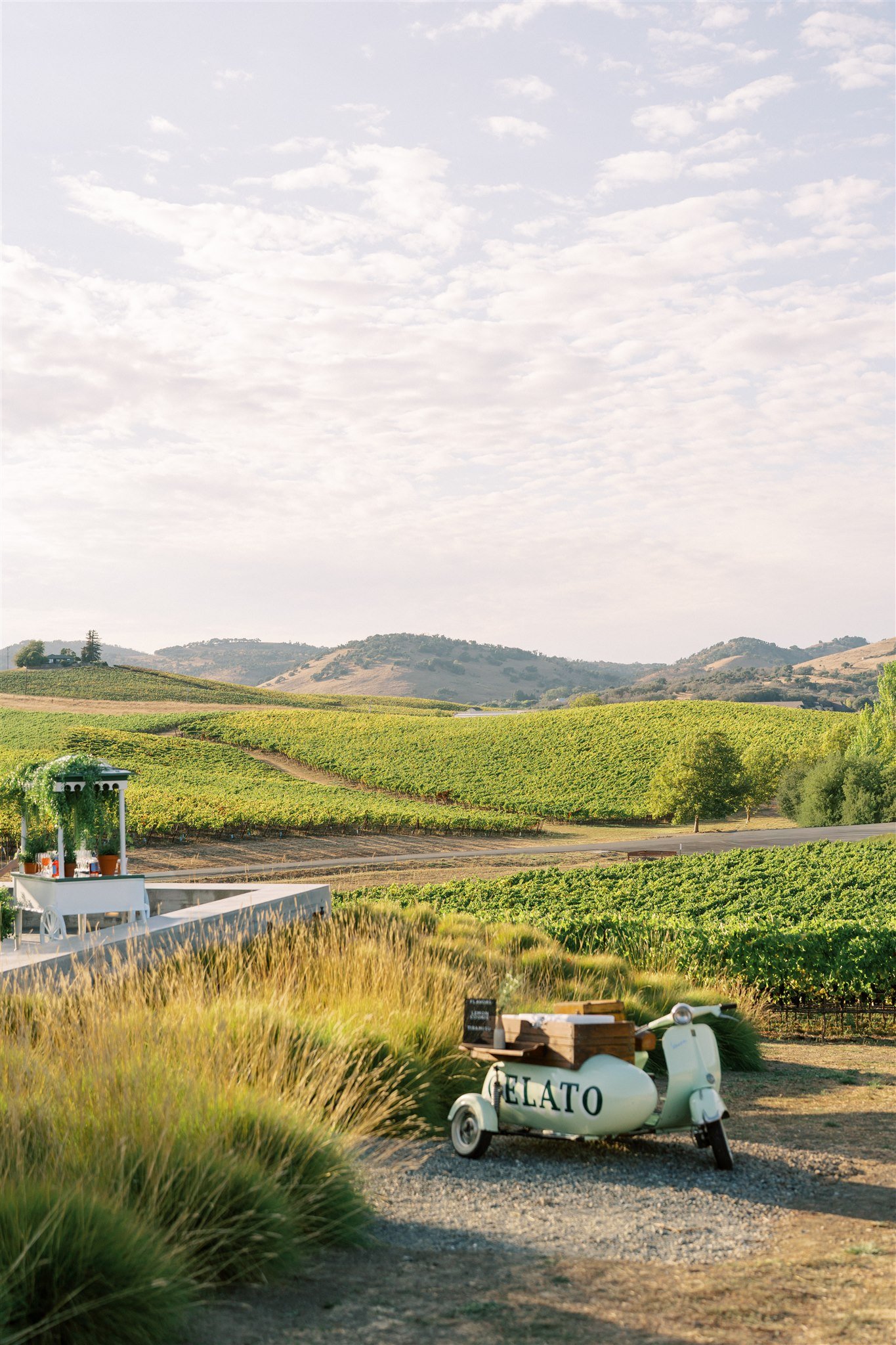 Curated by Grace + White - Willow & Ben - Cuvaison Winery Welcome Party