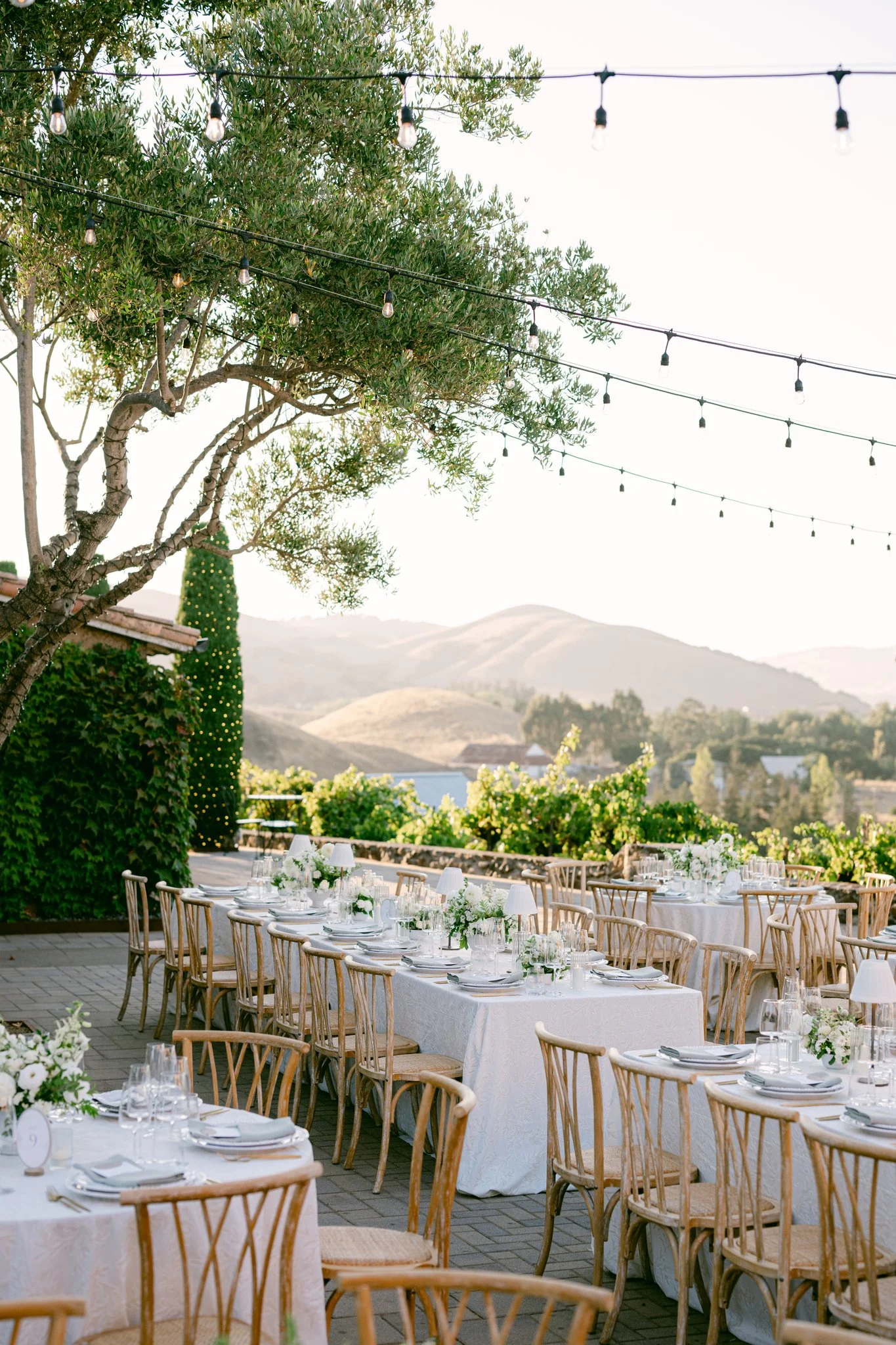 Jenn Robirds Events - Scott + Dana Photographers - Viansa Winery