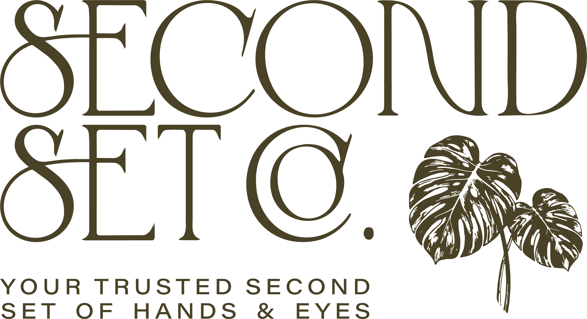 Black background with gold text that says 'ELECTION SET' and includes a decorative leaf illustration.