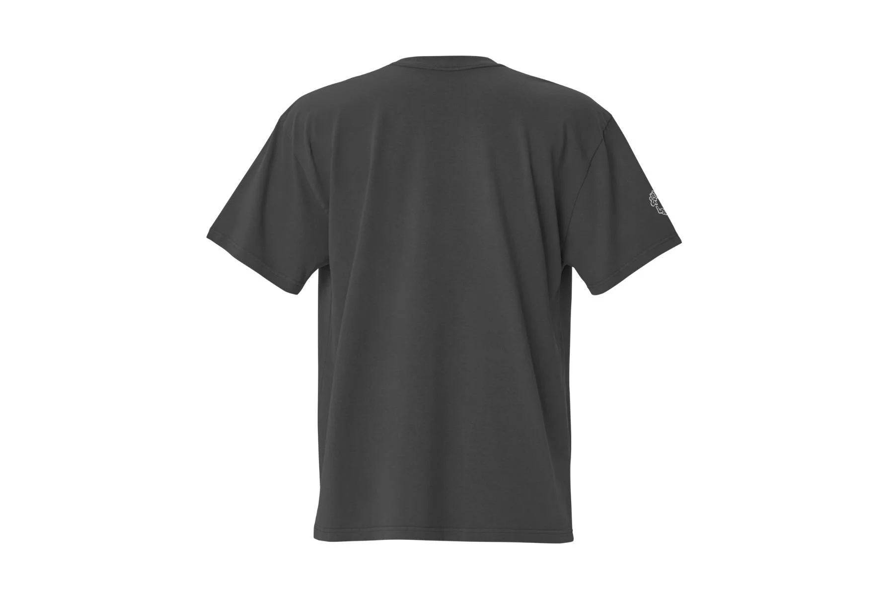 ski the tets tee risized back.jpg