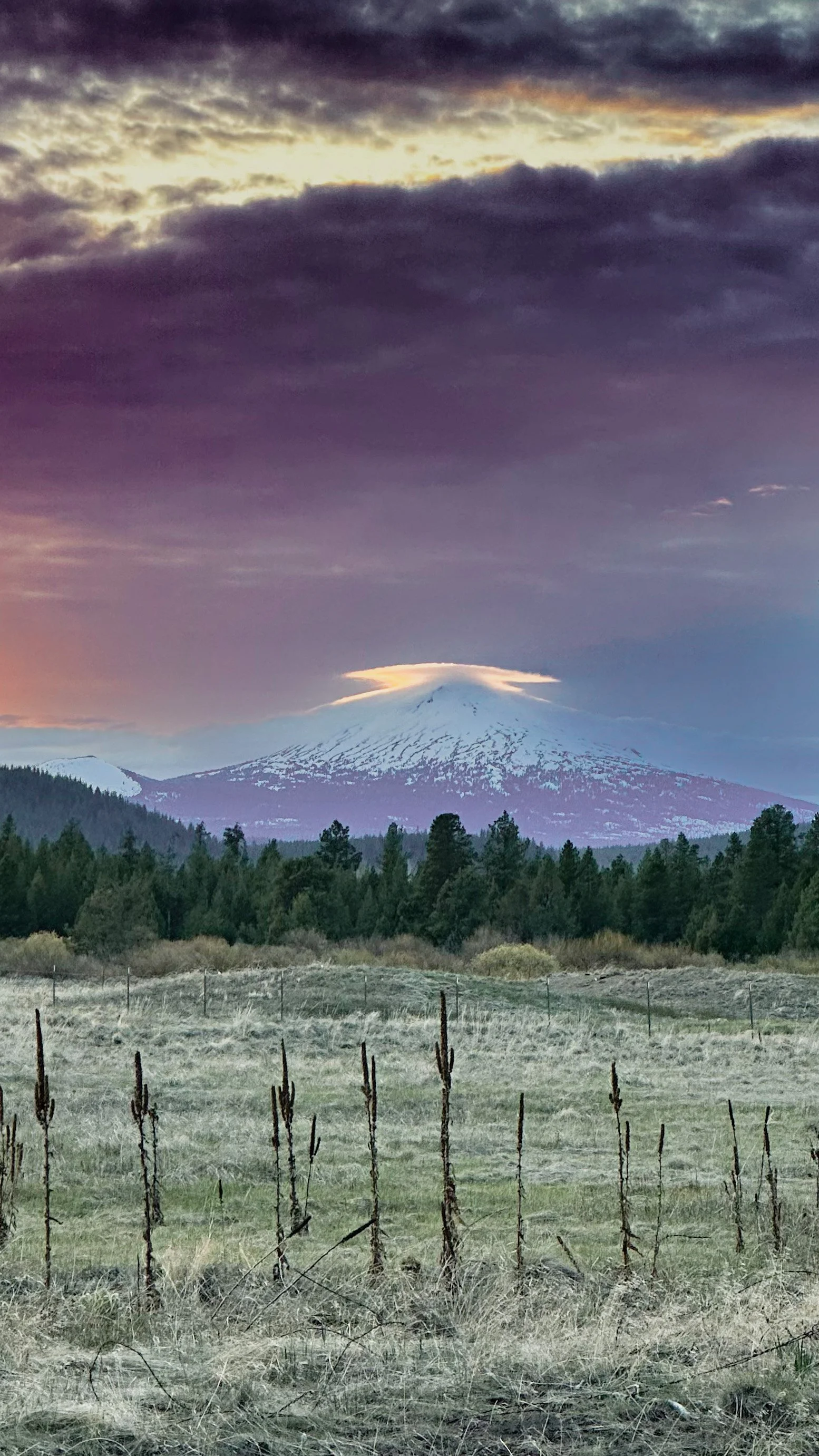 bachy for kalidescope.JPG