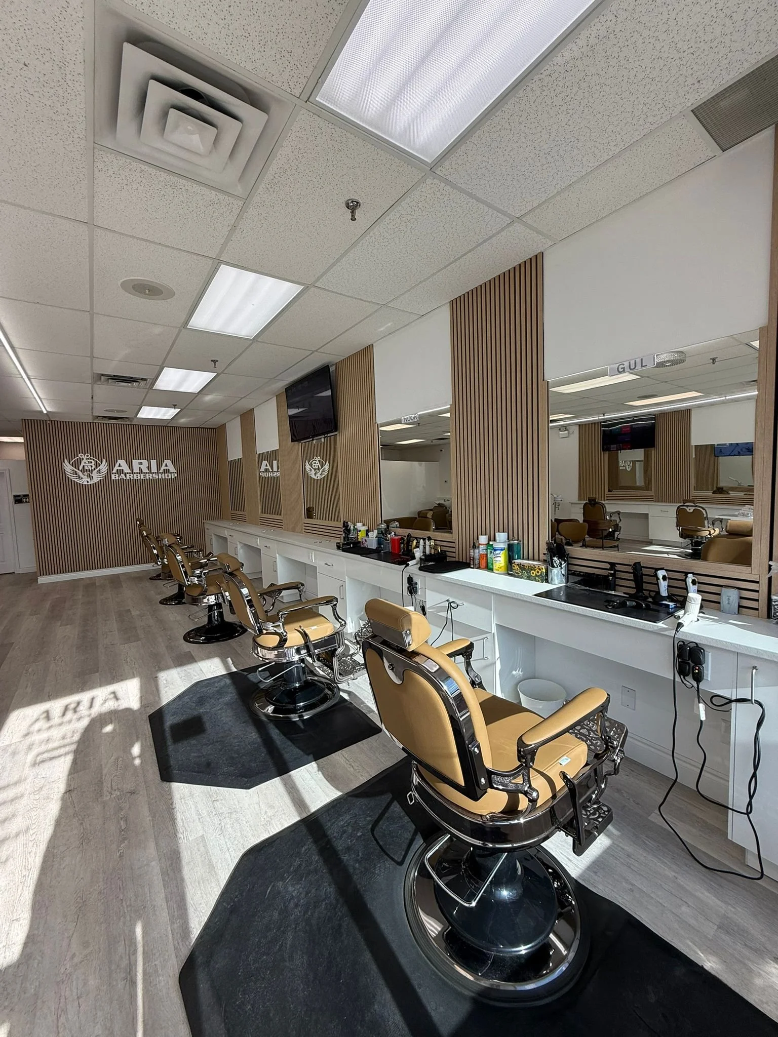 WhatsApp Image 2026-02-05 at 22.30.28.jpeg