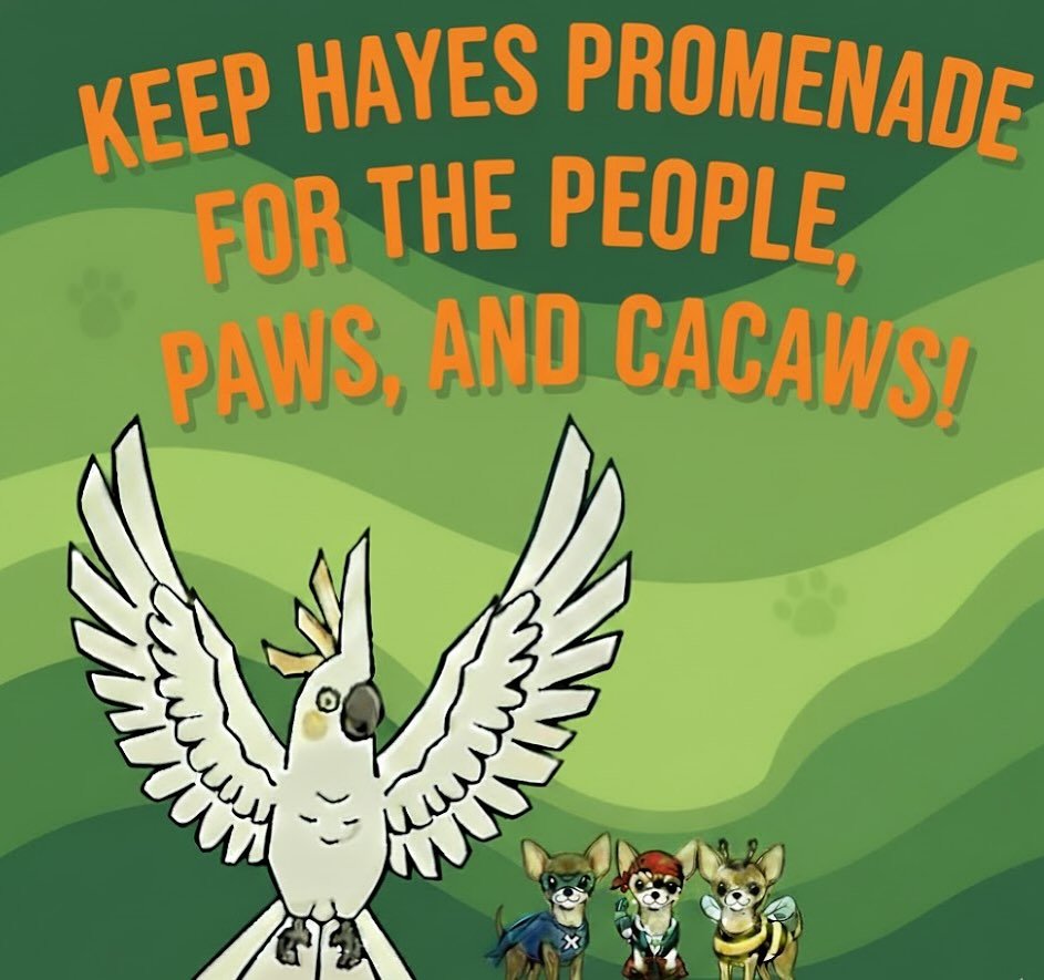 Community Alert - Hayes Promenade is currently at risk of being shut down, and we need your immediate support to ensure this one block weekend permit is renewed by SFMTA. This is the final step. 

If you would like to see the Hayes Promenade continue