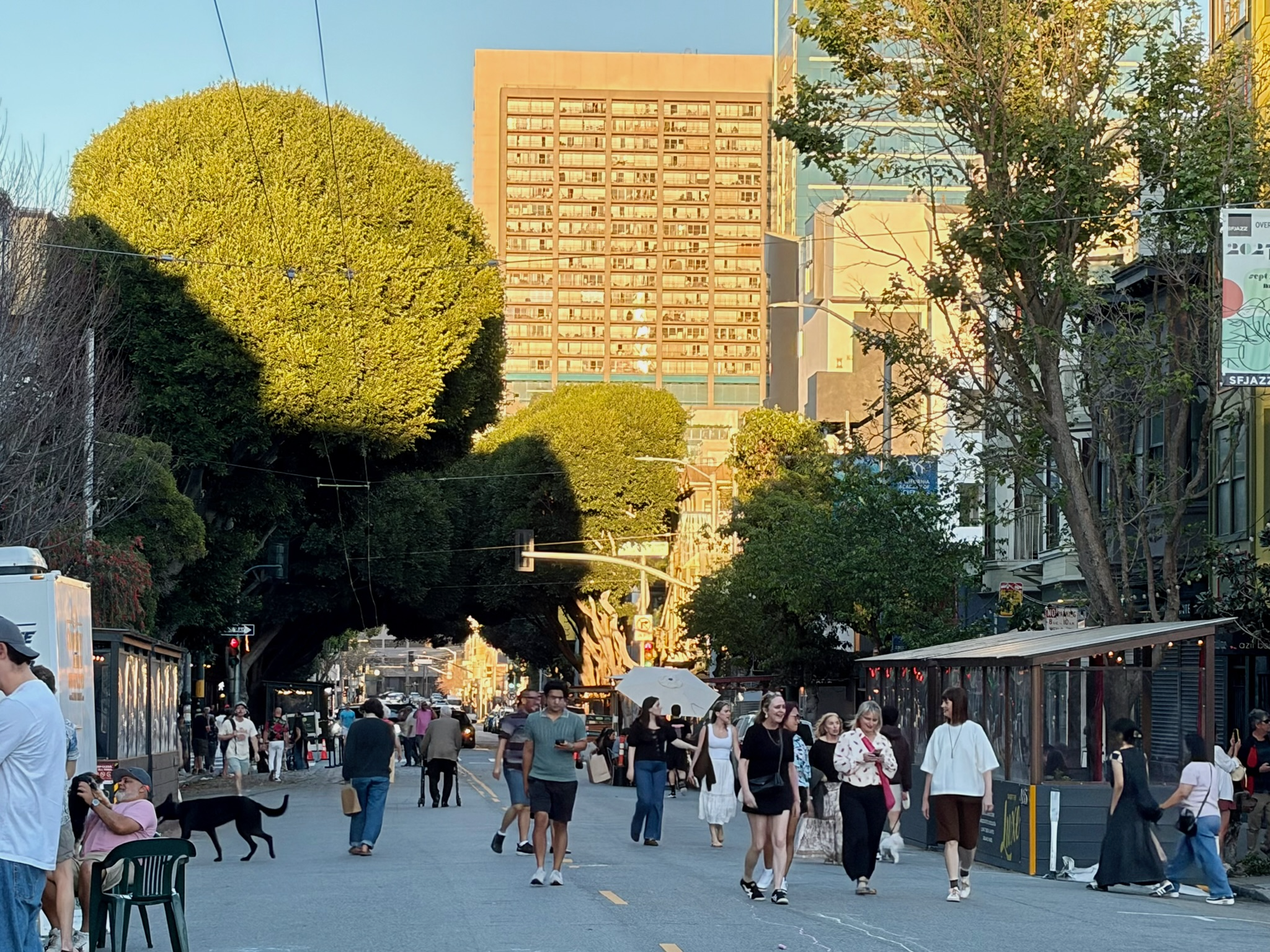 hayes.promenade.2026.03.20_2.png