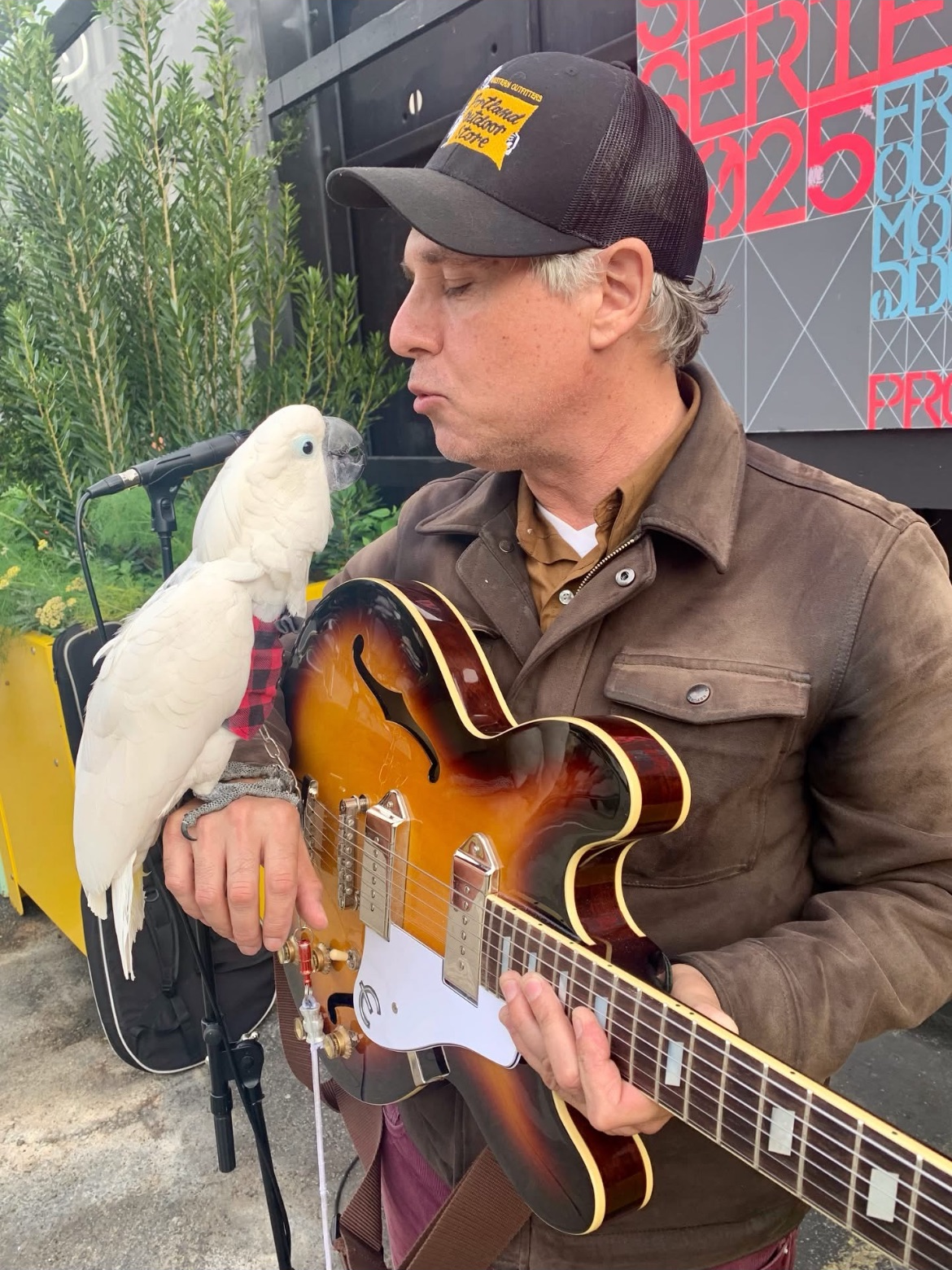 Live Music: Dave Ricketts