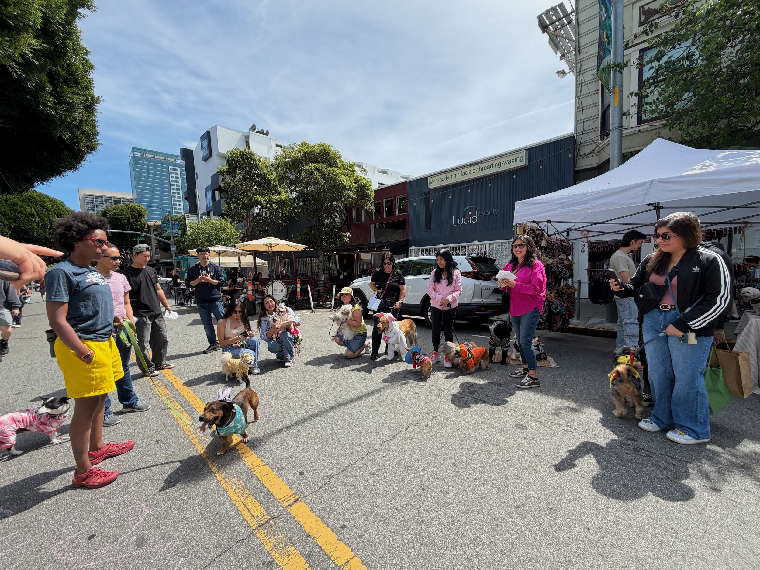 Dog Days on Hayes: Hoppy Tails Easter Paw-ty