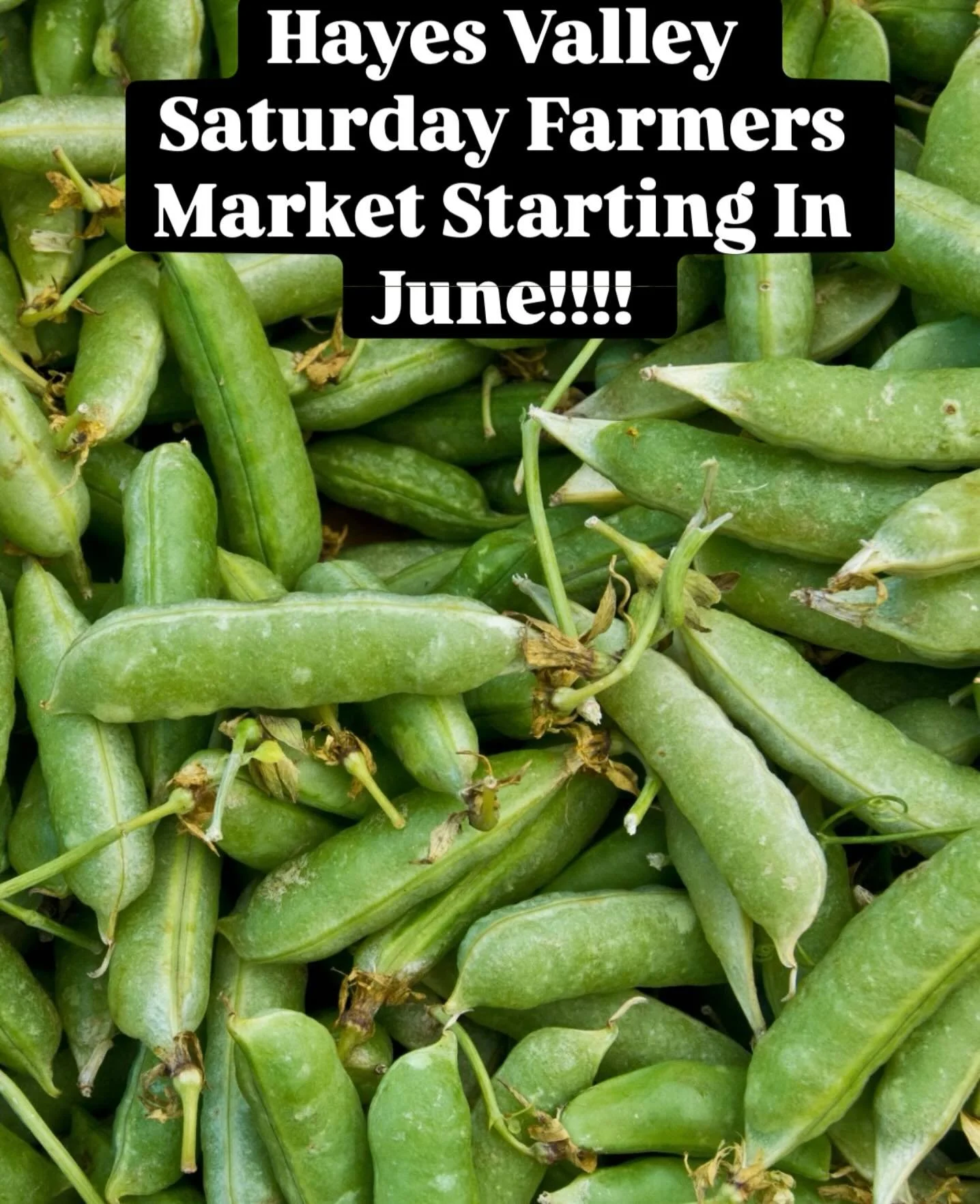 Yaaaaaas peas! 🫛 Because of overwhelming support, the Saturday HV farmers market will be starting up in June. This new healthy food resource is managed by @pcfma. More details soon from @hayesvalleyfm. 🎉🎉🎉 Un-beat-leaf-apple exciting right? 🍎🍎?