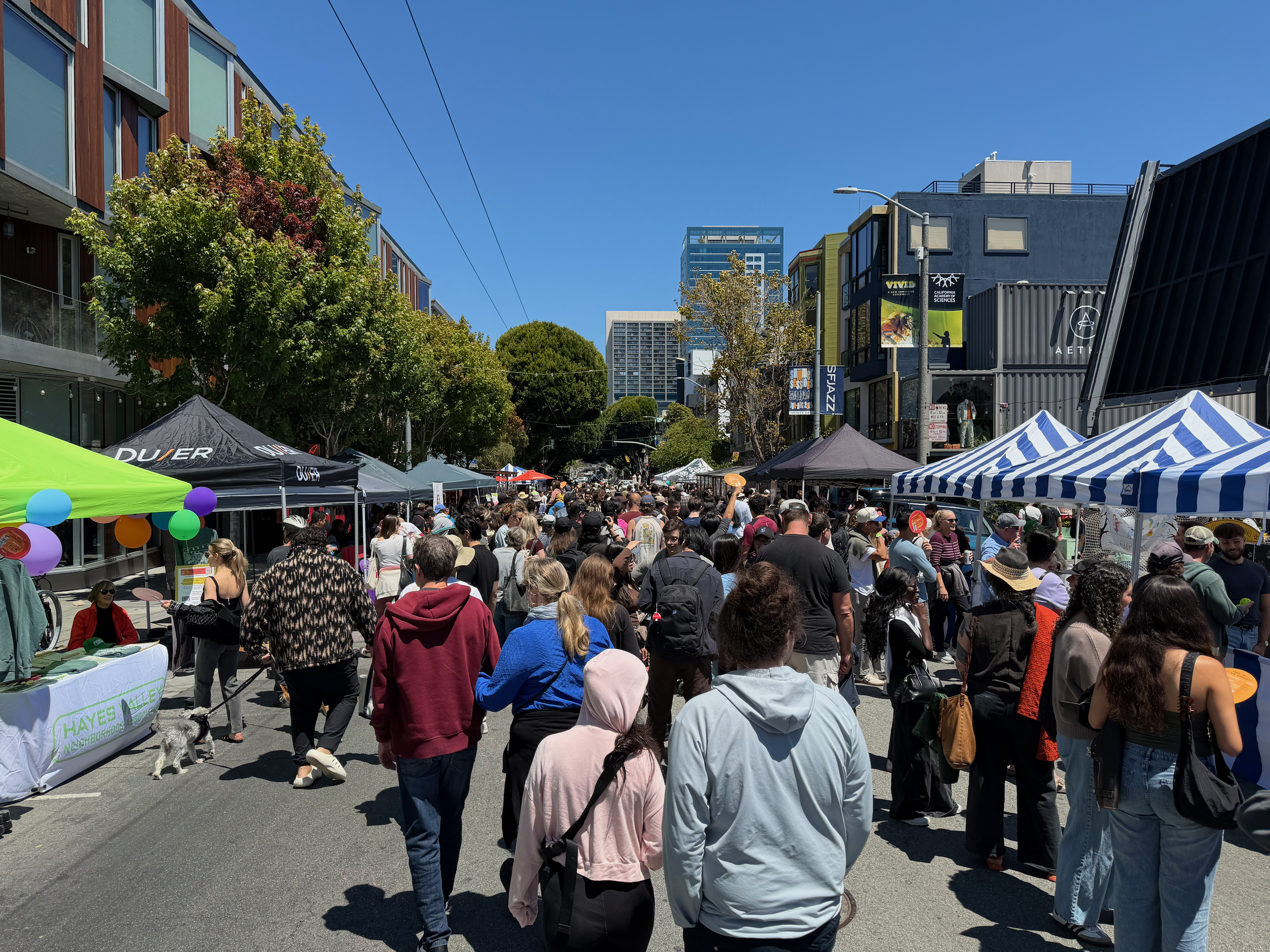 hayes.valley.carnival.2026_2.png
