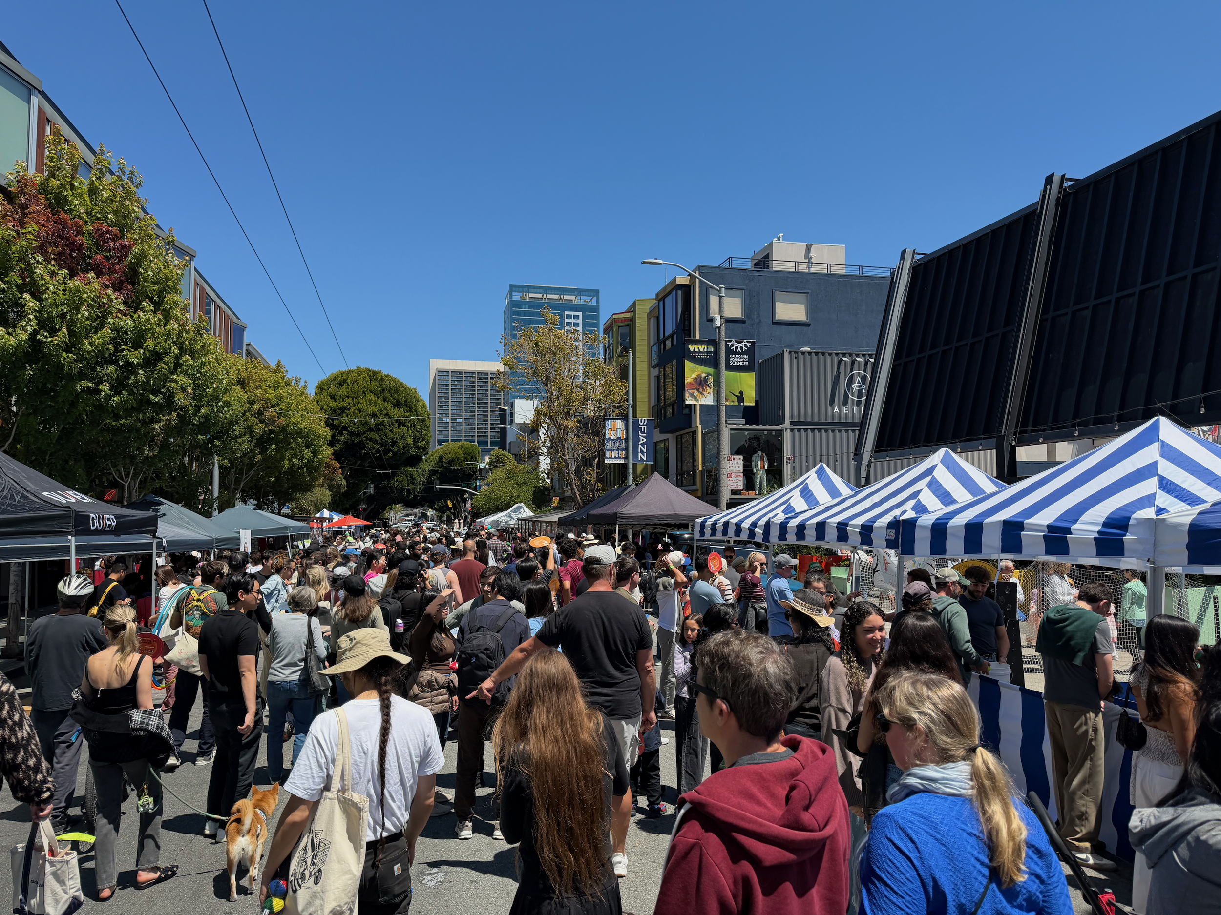 hayes.valley.carnival.2026_1.png