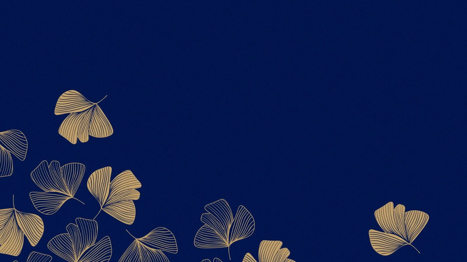 WhatsApp Image 2023-11-14 at 3.34.18 PM.jpeg