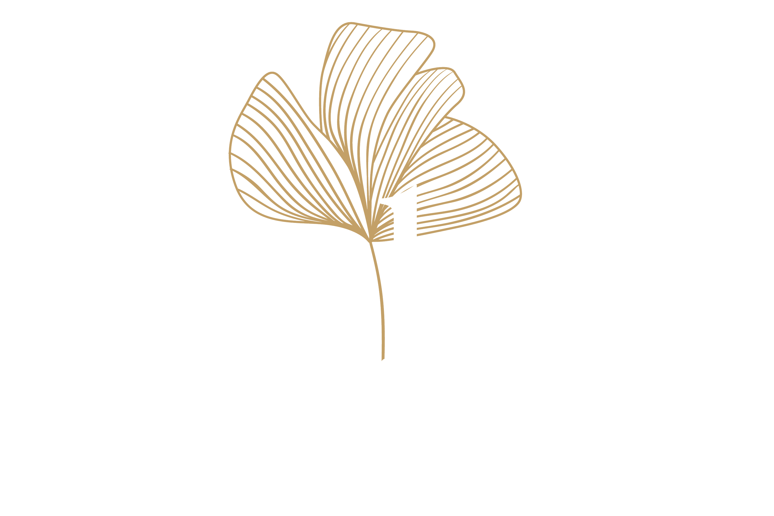 Ginkyo by Kinki