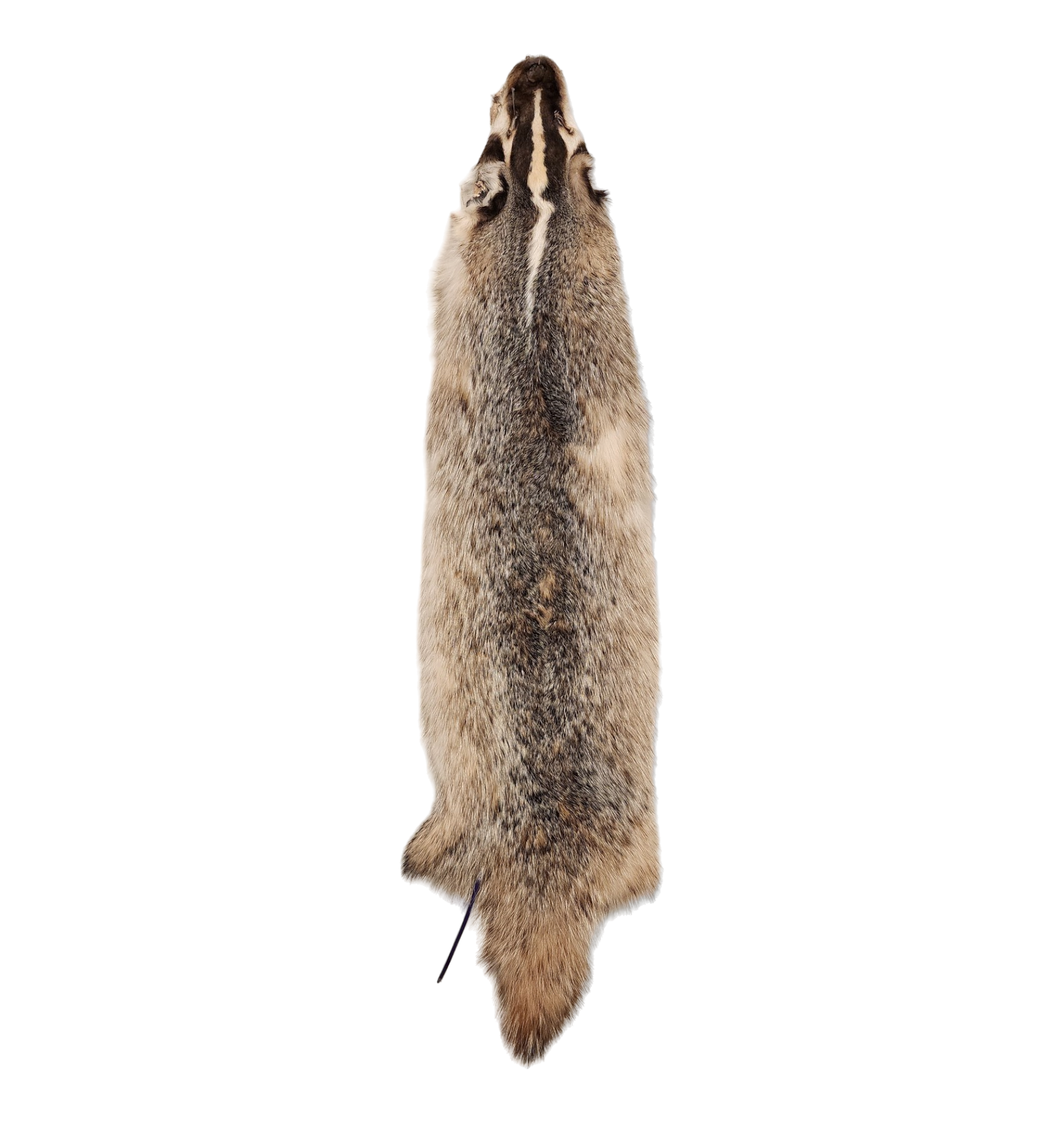 Badger Pelts
