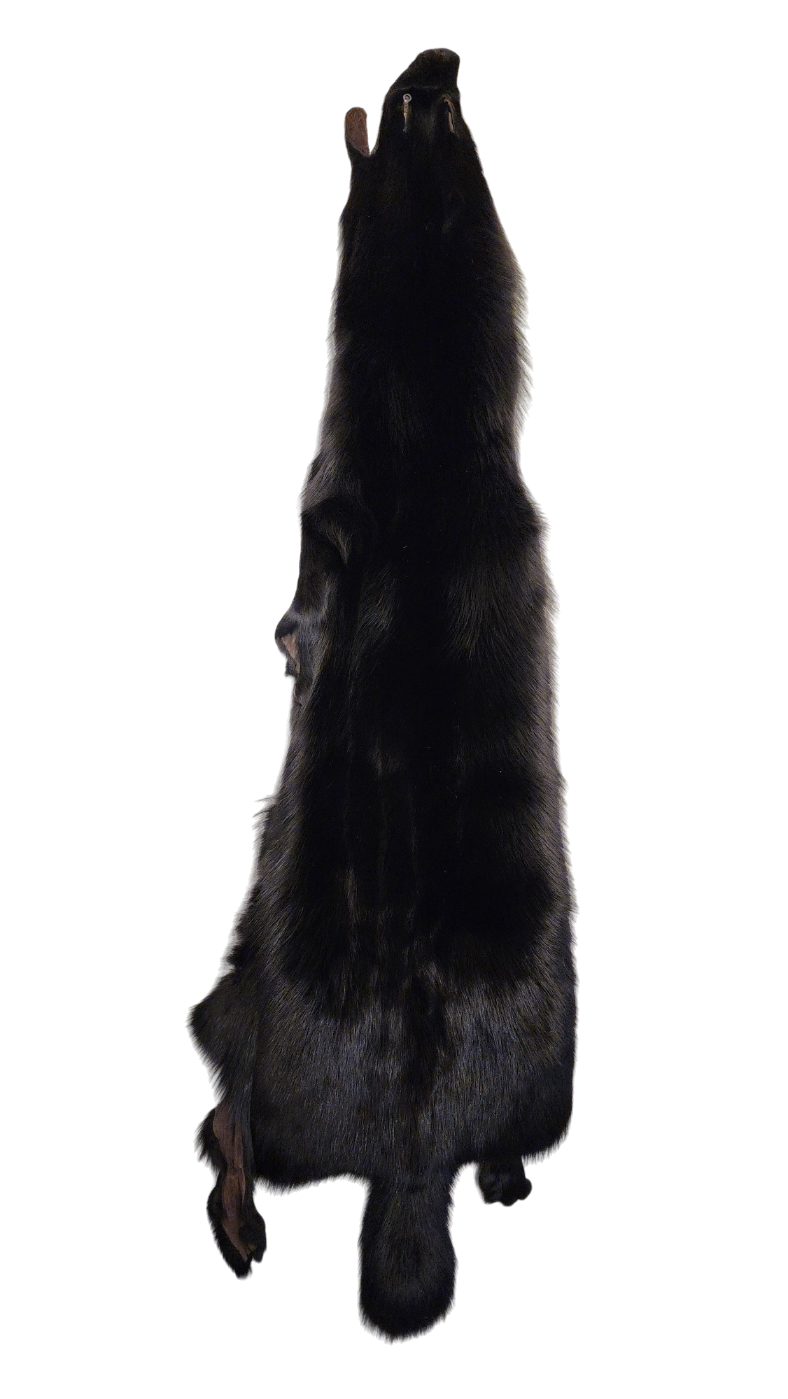 Dyed Black Arctic Fox Pelt 4XL