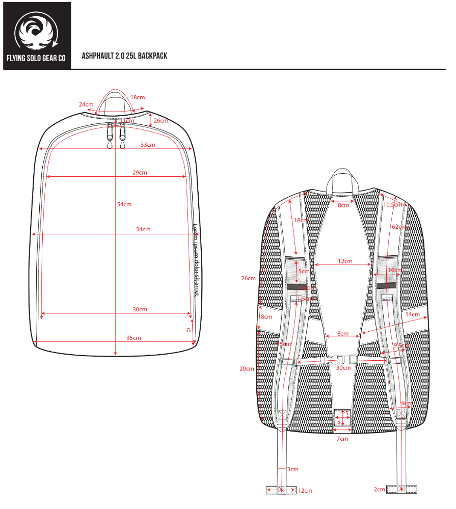 flying solo backpack spec 1.PNG