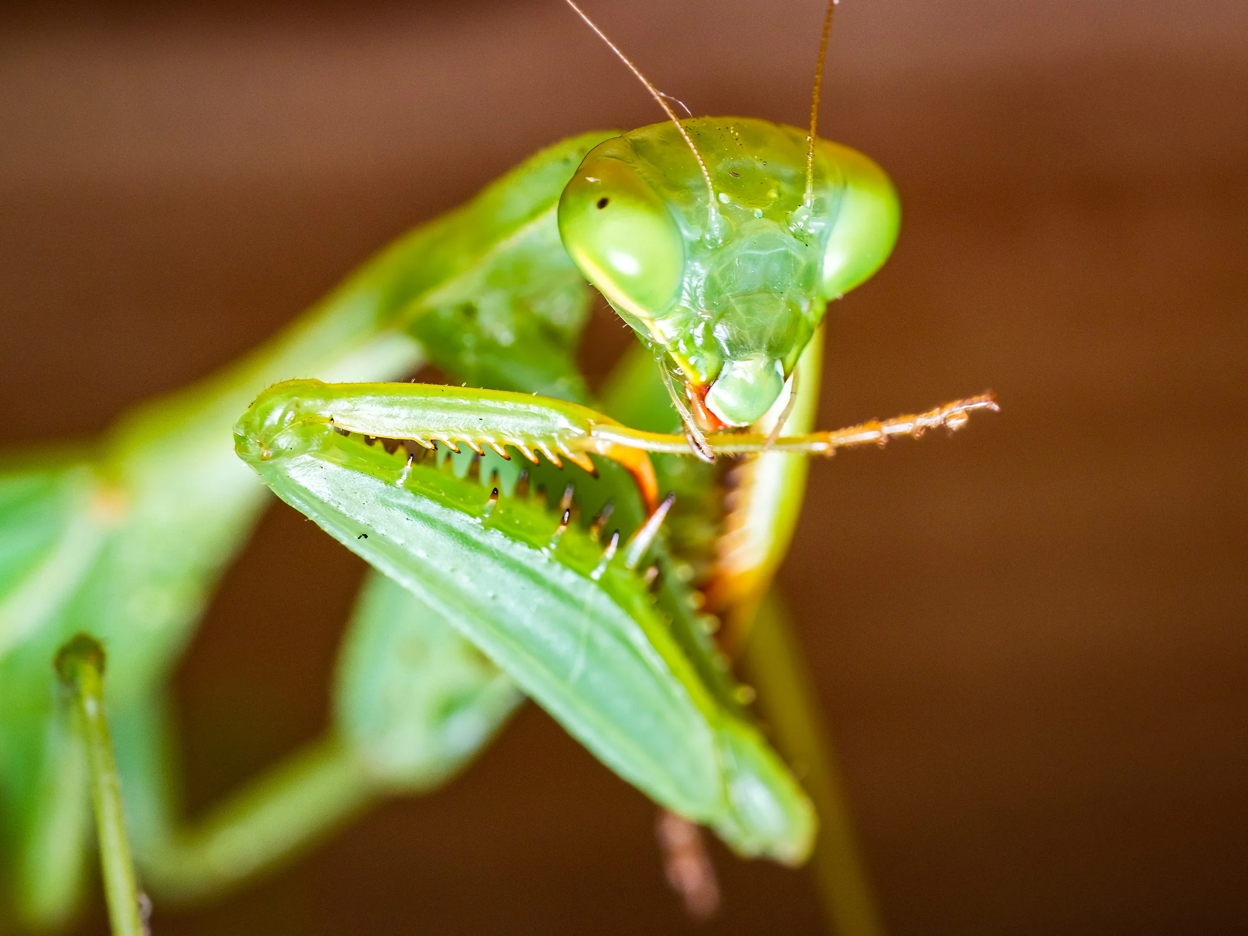 A little self care. Melbourne, August 2024.
