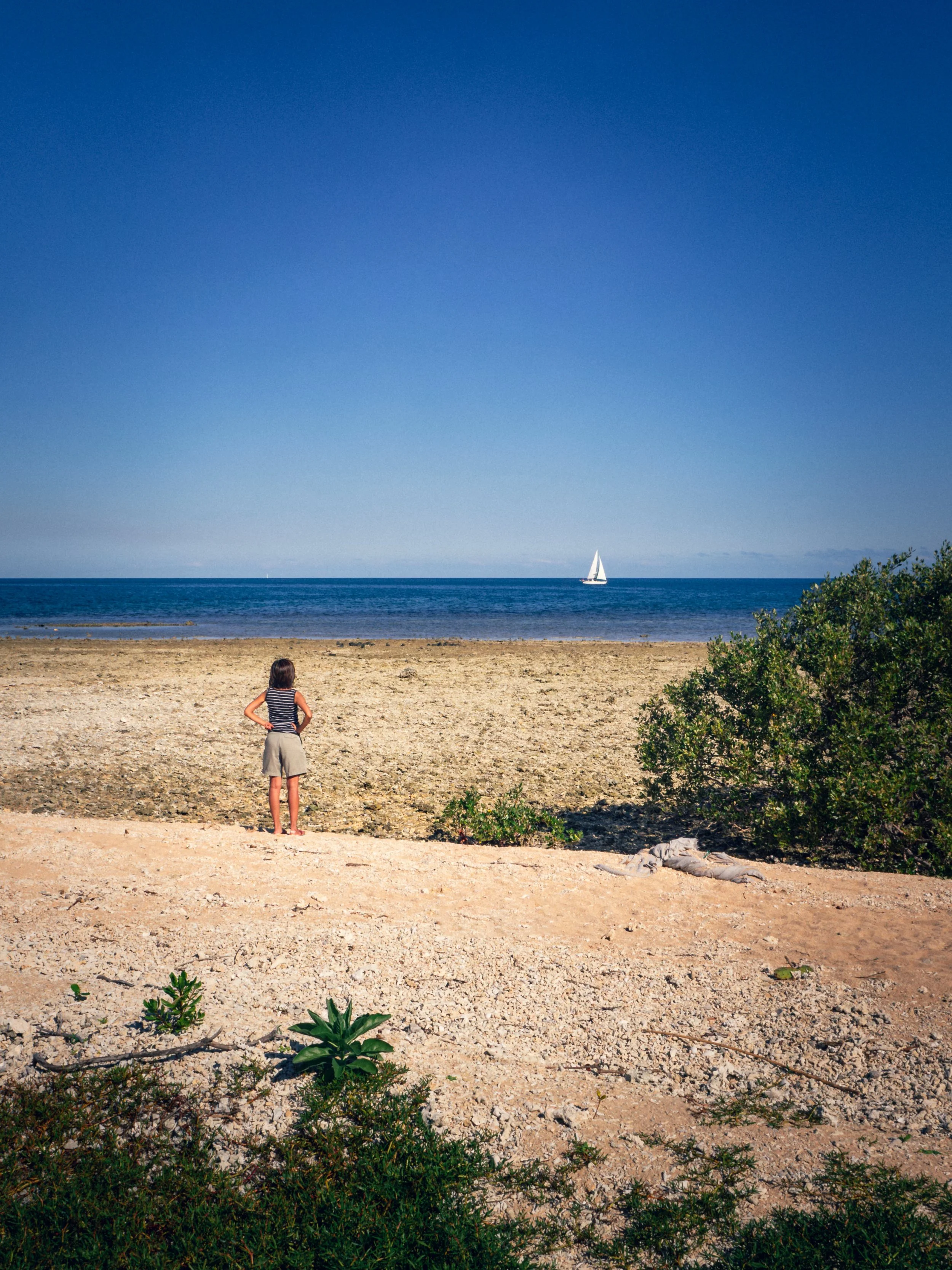 Ile aux Canards, Noumea, July 2017
