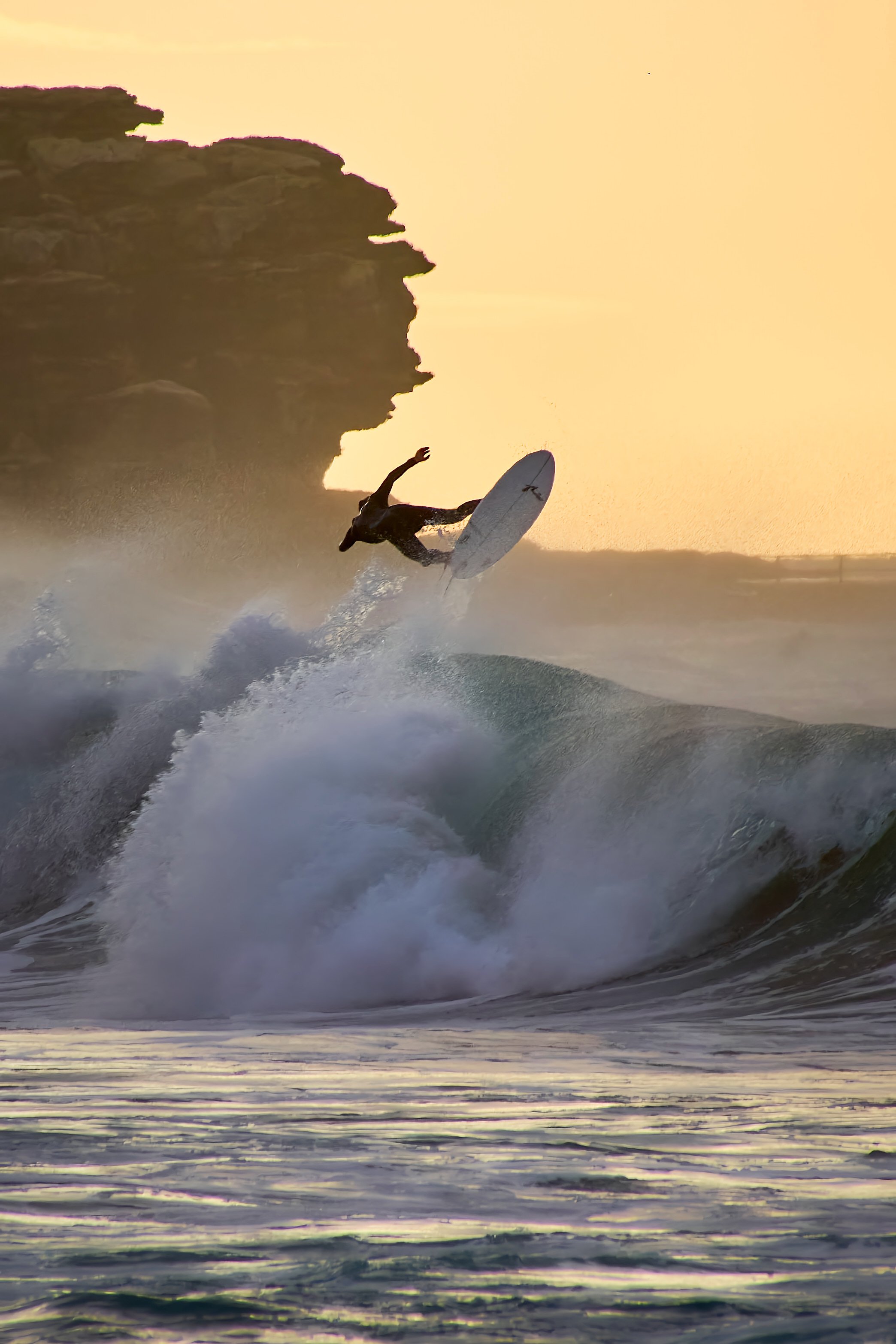 North Curly surfer, May 2016