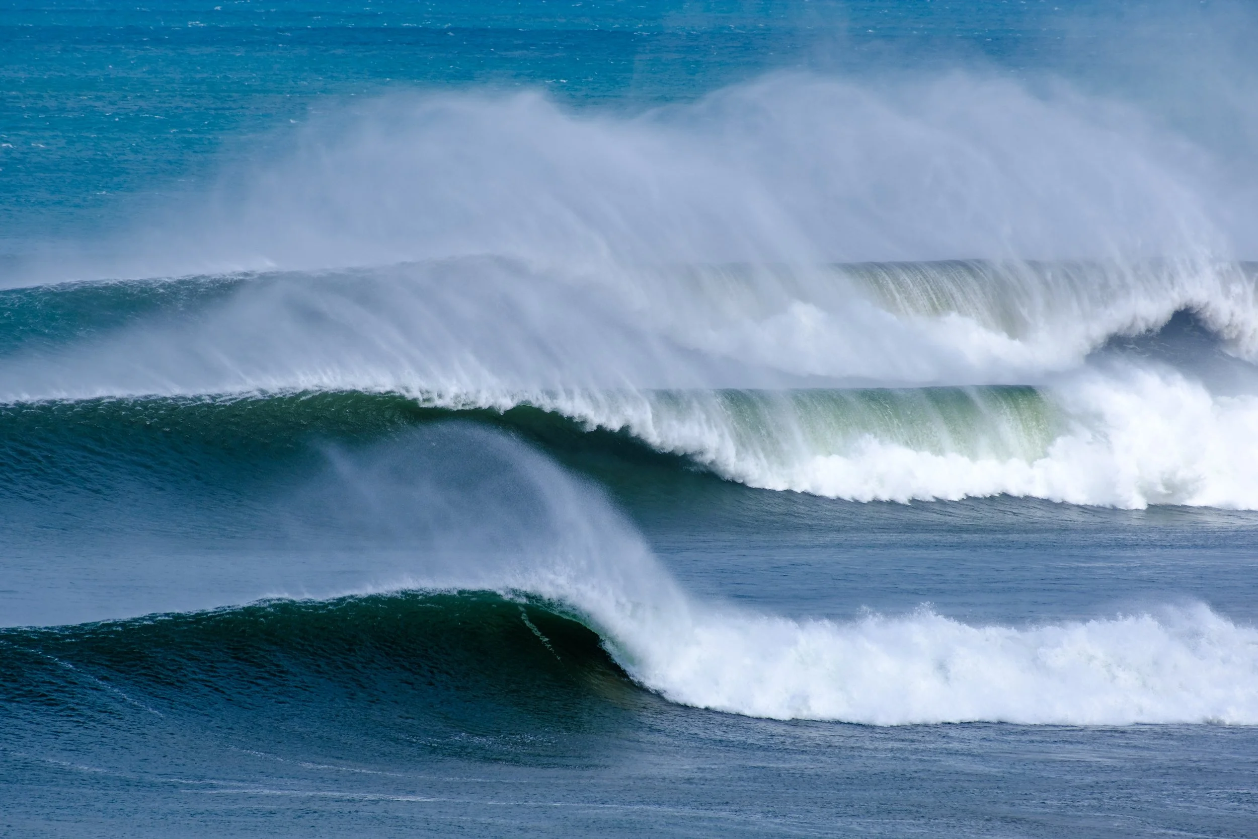 Triplet, Winkipop, September 2024