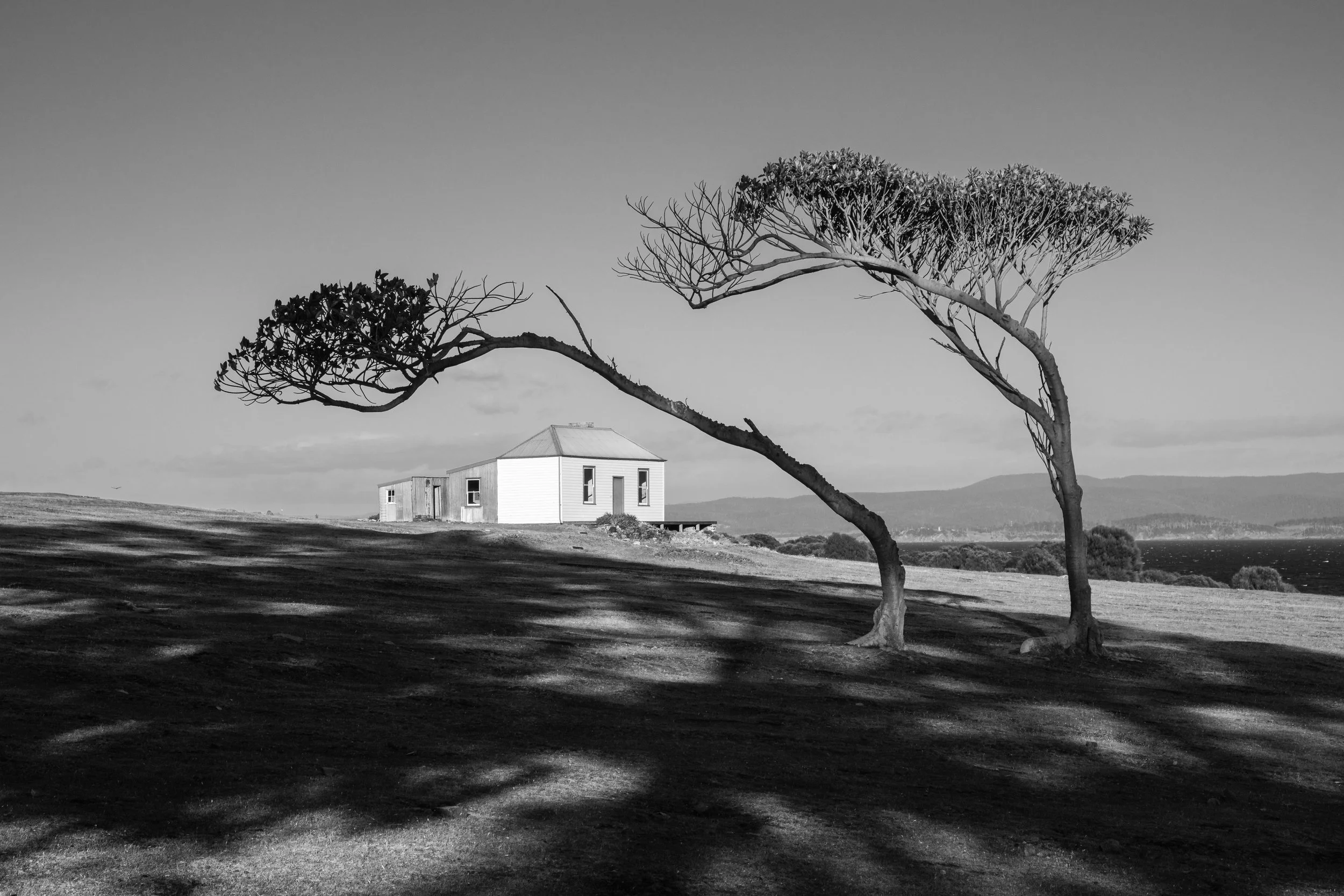 Maria Island, off Tasmania, December 2025