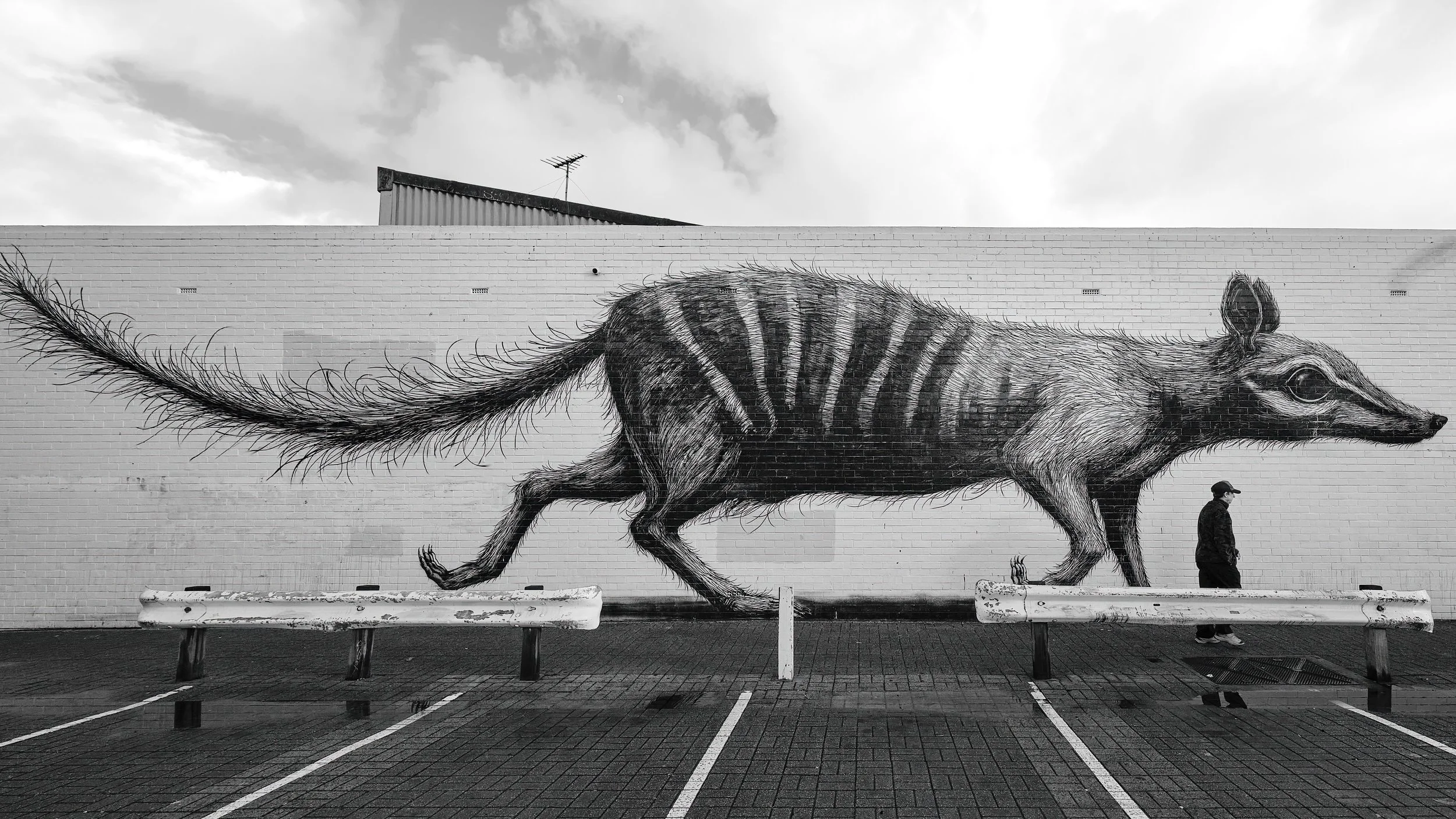 Fremantle carpark, July 2022