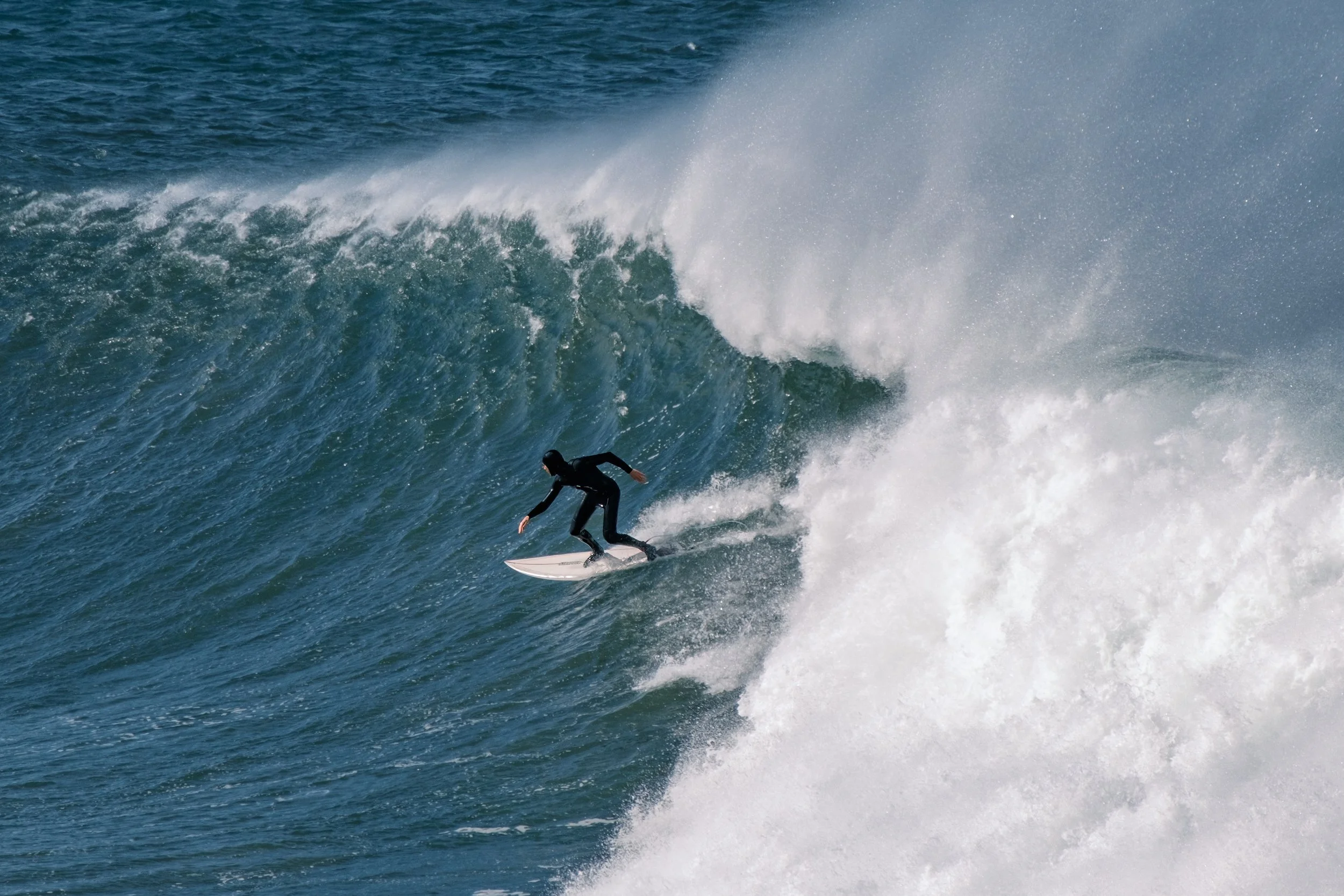 Stay loose, Winkipop, September 2024