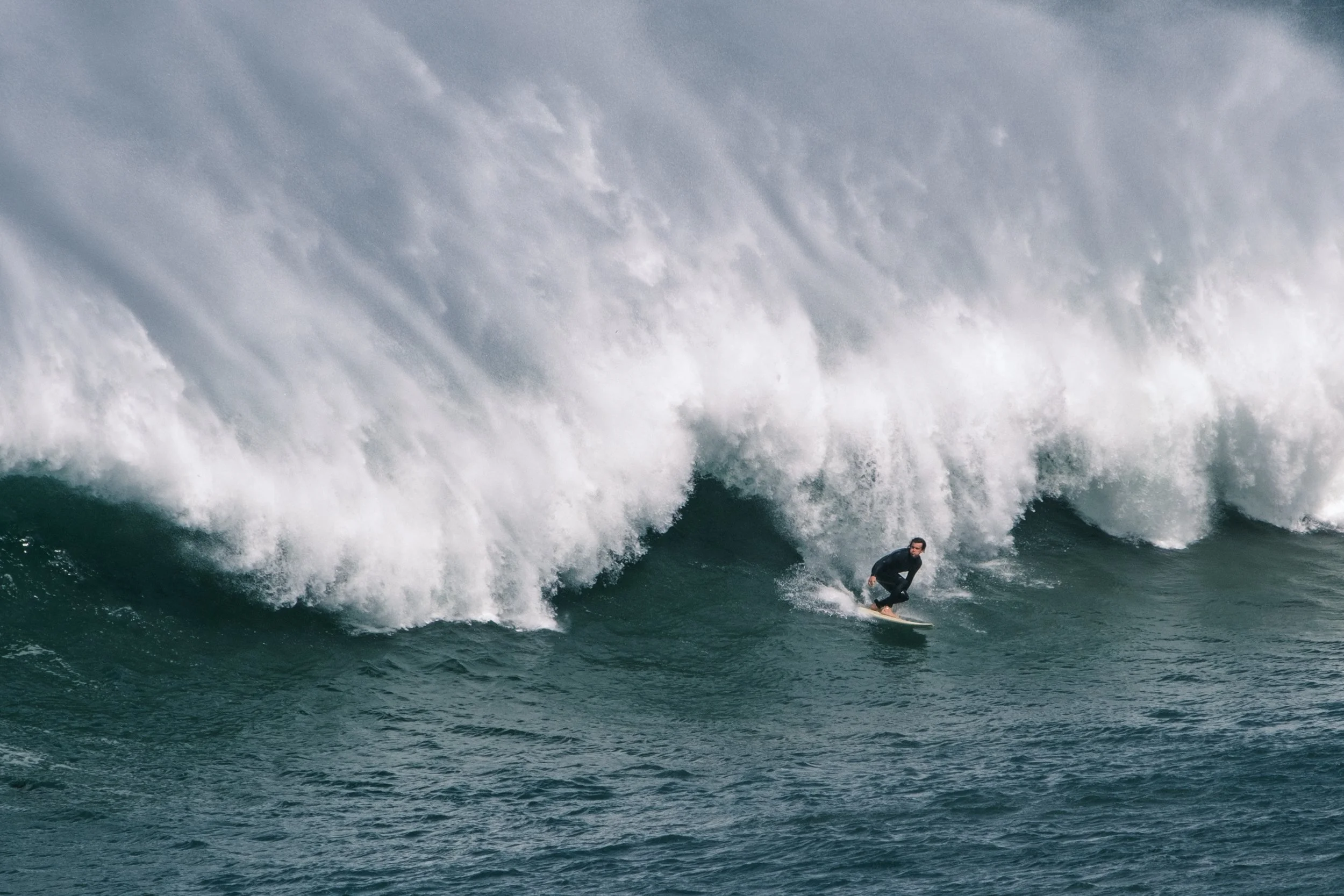 Run for it! Winkipop, September 2024