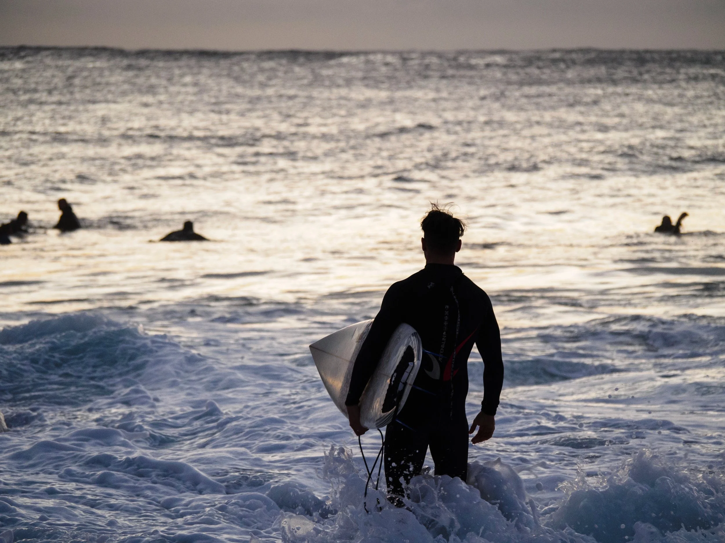 Checking out the waves(?), Dee Why, June 2015