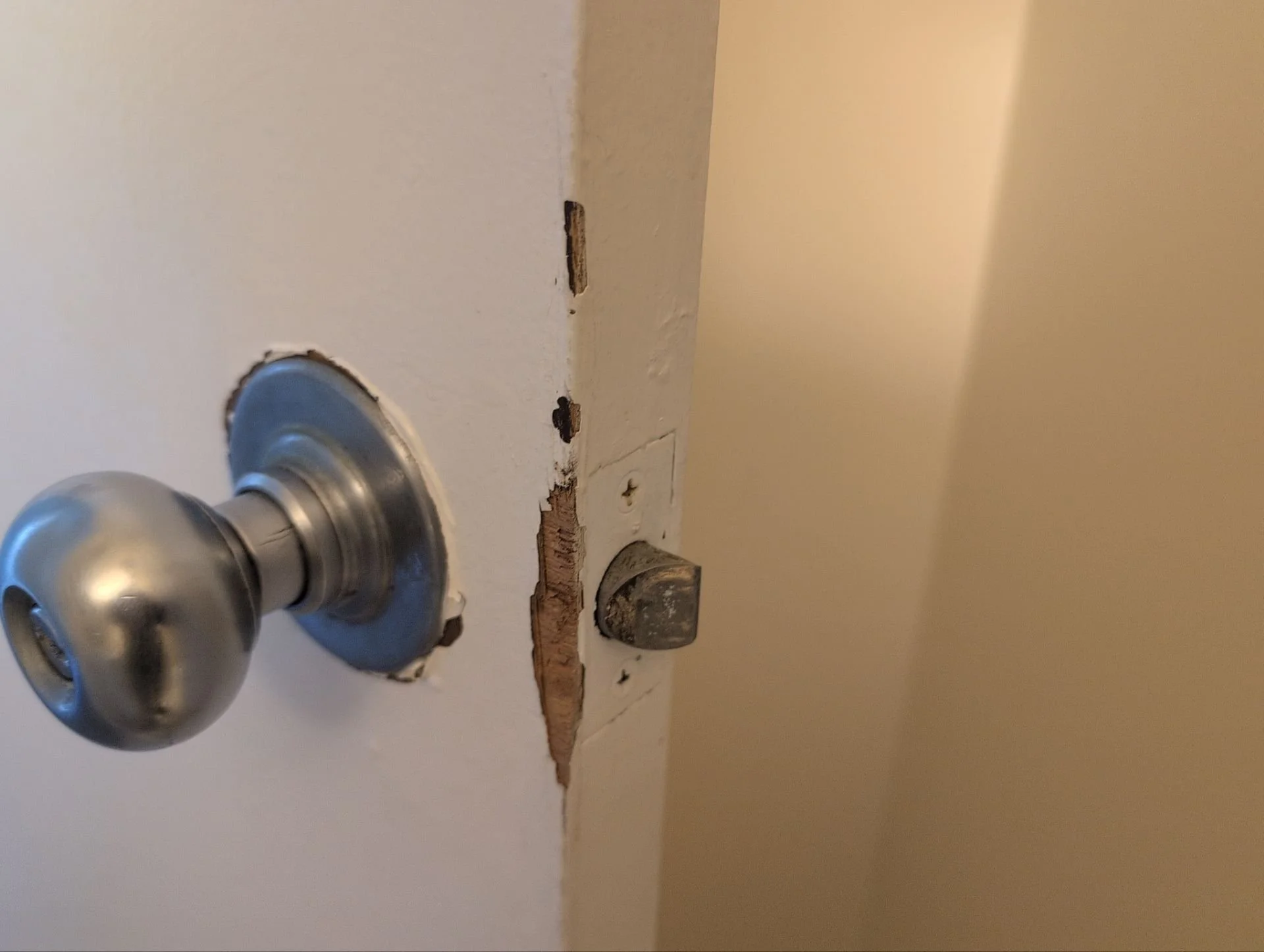 Various wood repairs & shelf bracket installed