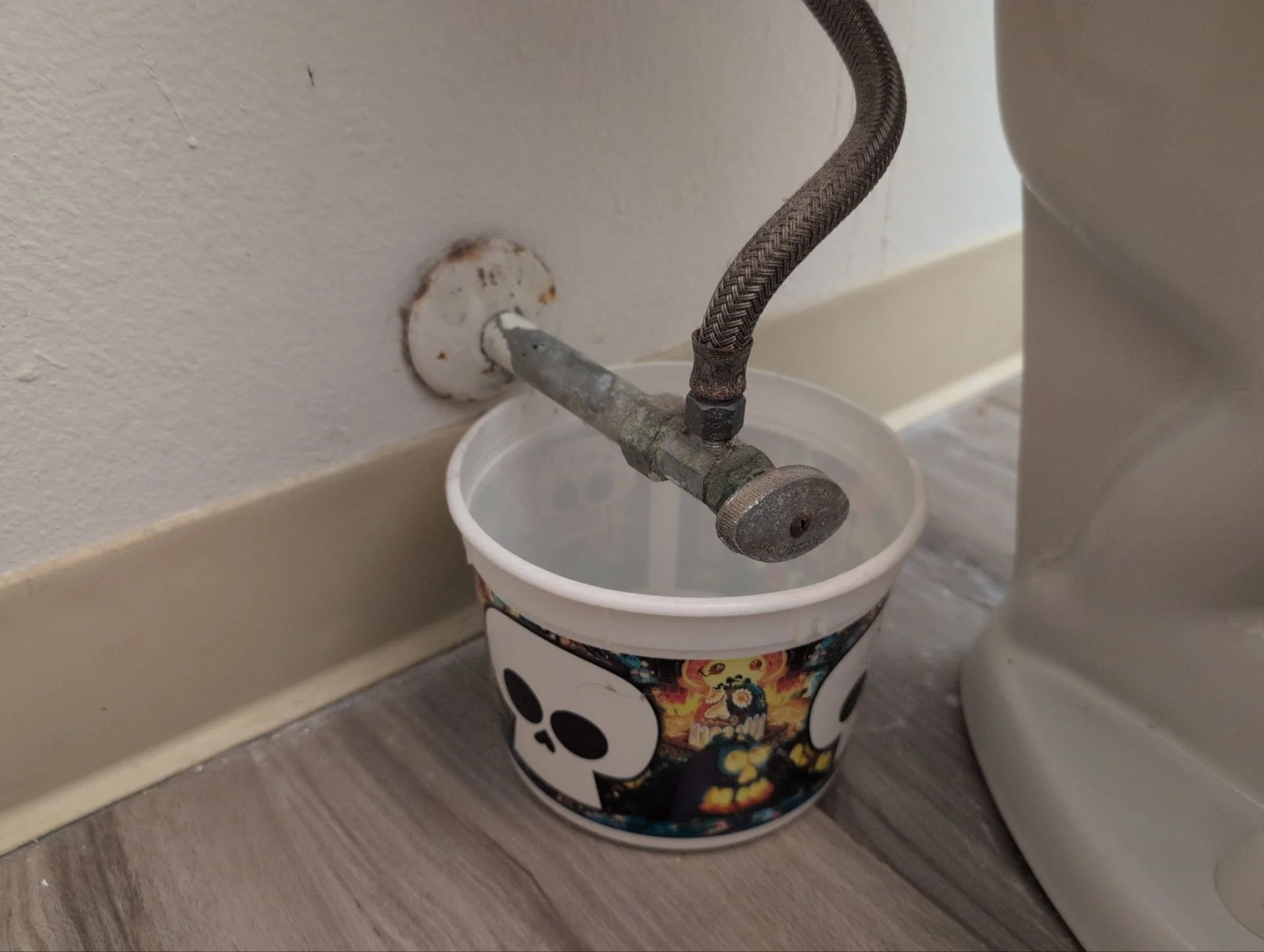 Various plumbing projects
