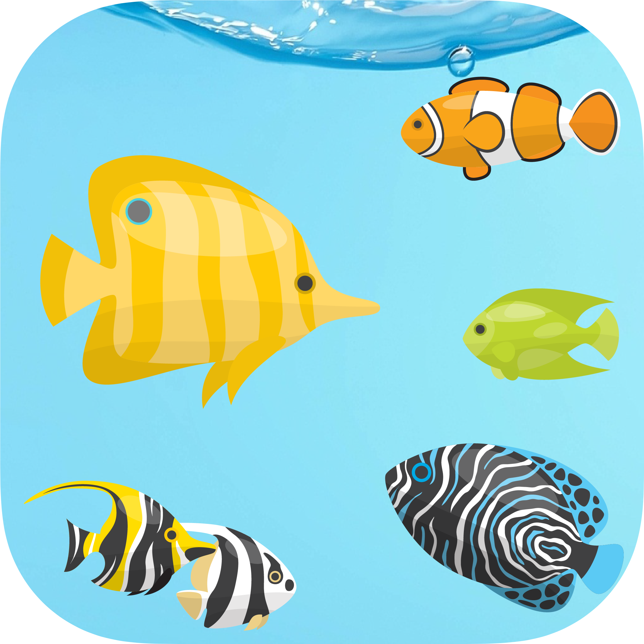 Magic Fish AR — Near Future Marketing Inc.