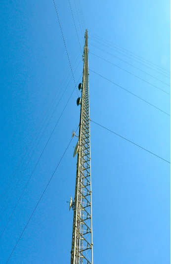 Picture1.png
