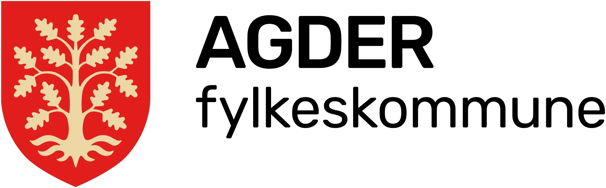 Internasjonalt fylkesnettverk