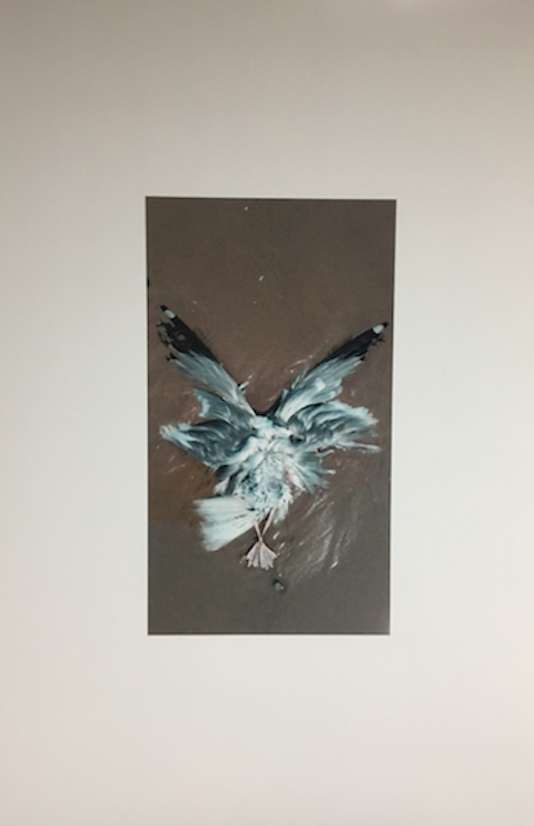 Screen Shot 2026-01-13 at 23.51.39.png