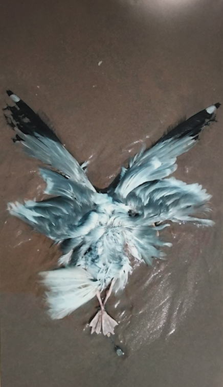 Screen Shot 2026-01-13 at 23.52.23.png