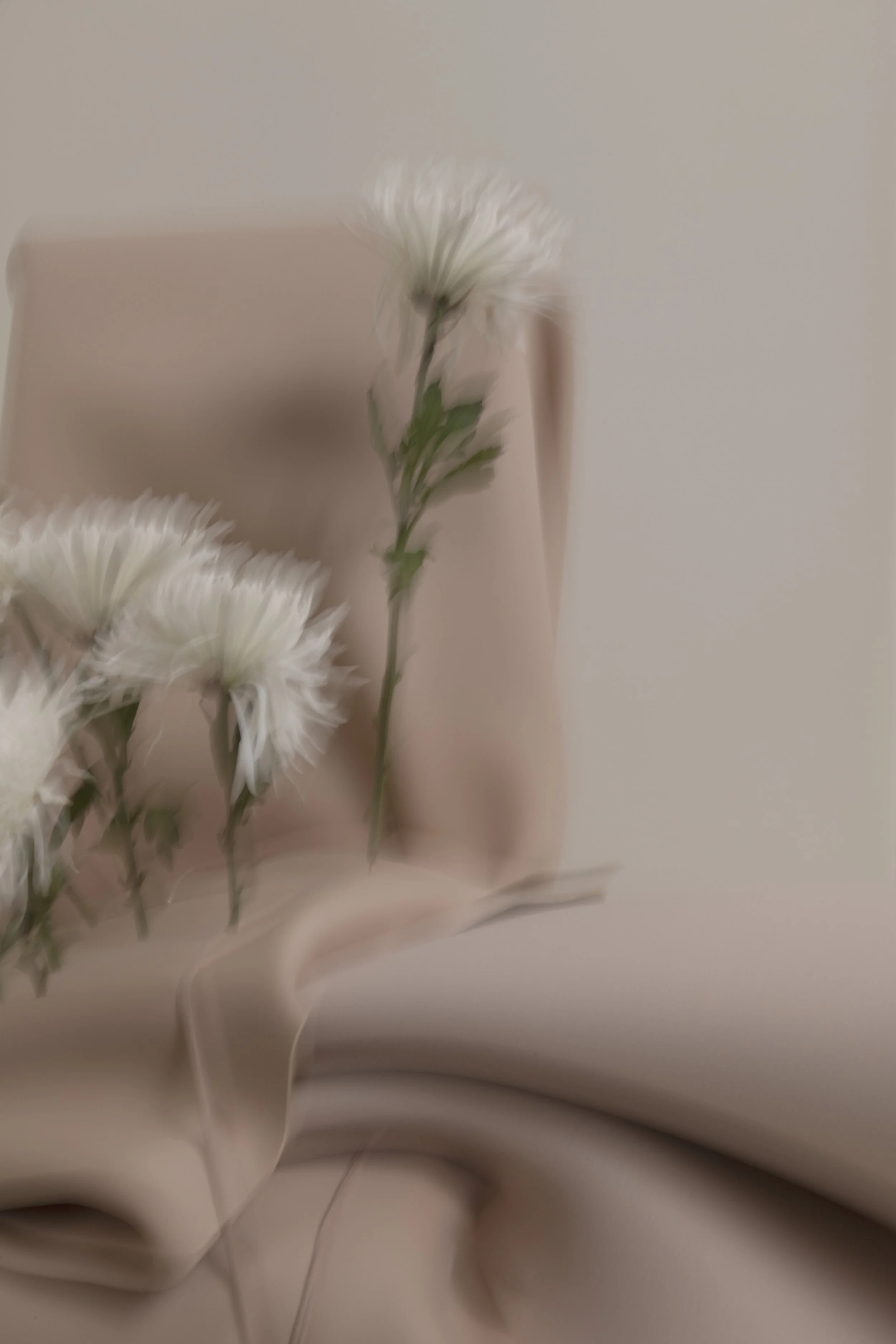 AND_0581.jpg