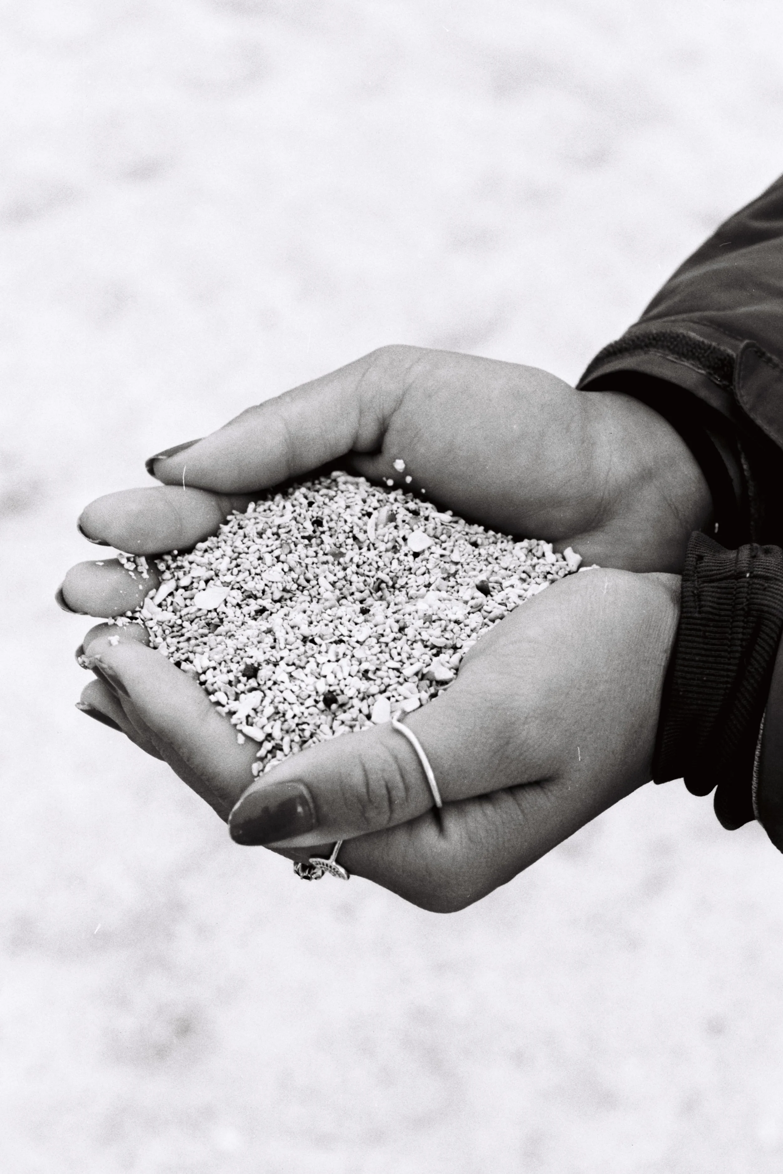 Coral beach, Isle of skye 02