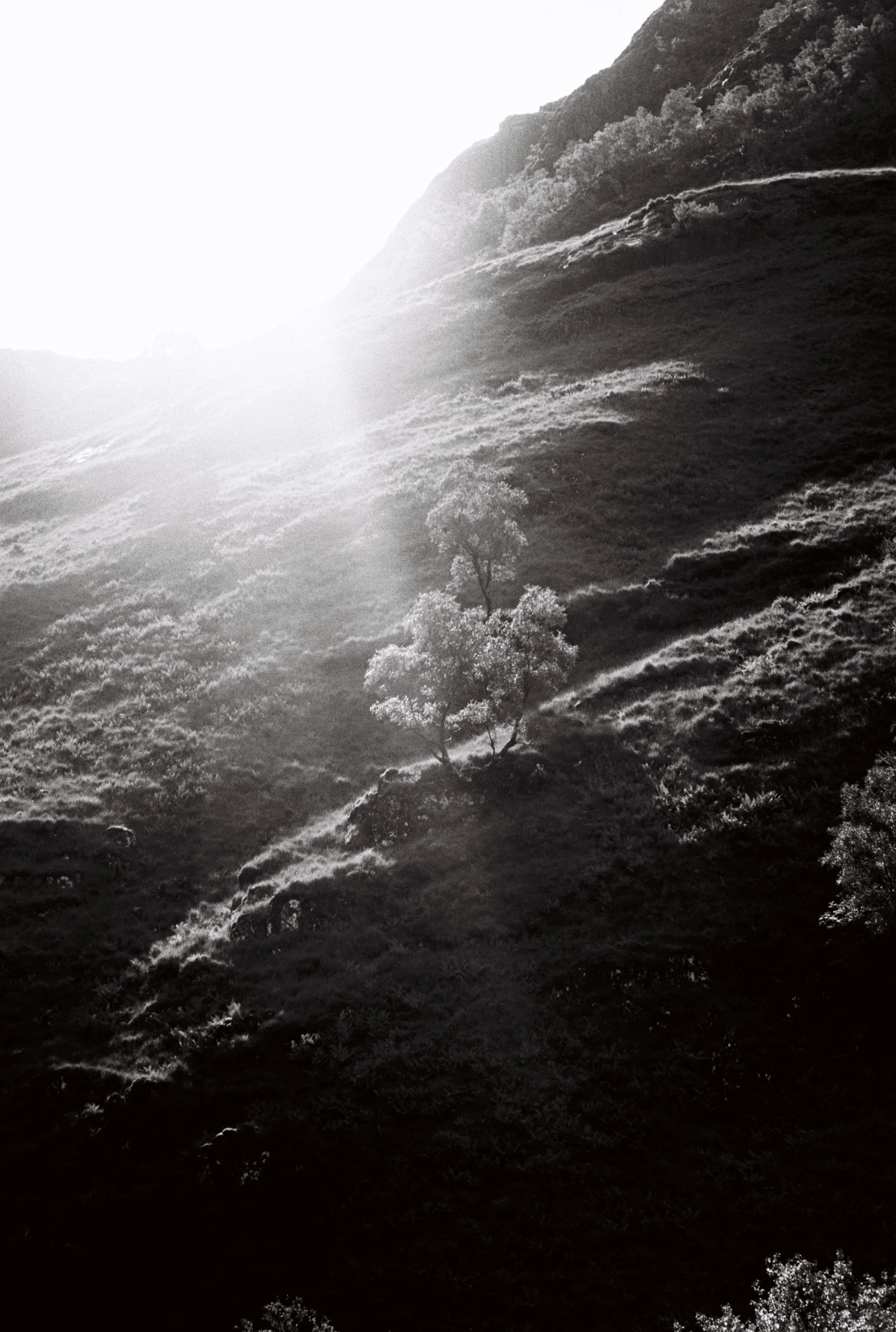 Lost Sisters Valley 02