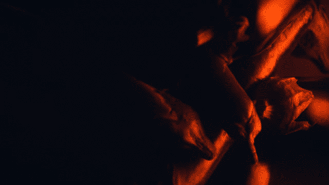 undefined-low.gif