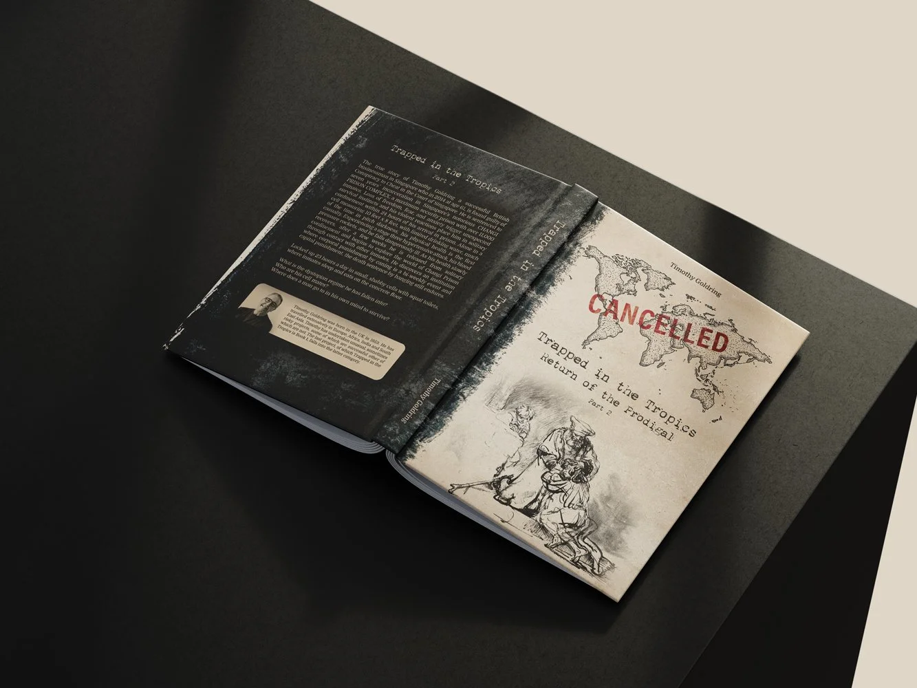 Book Design 2