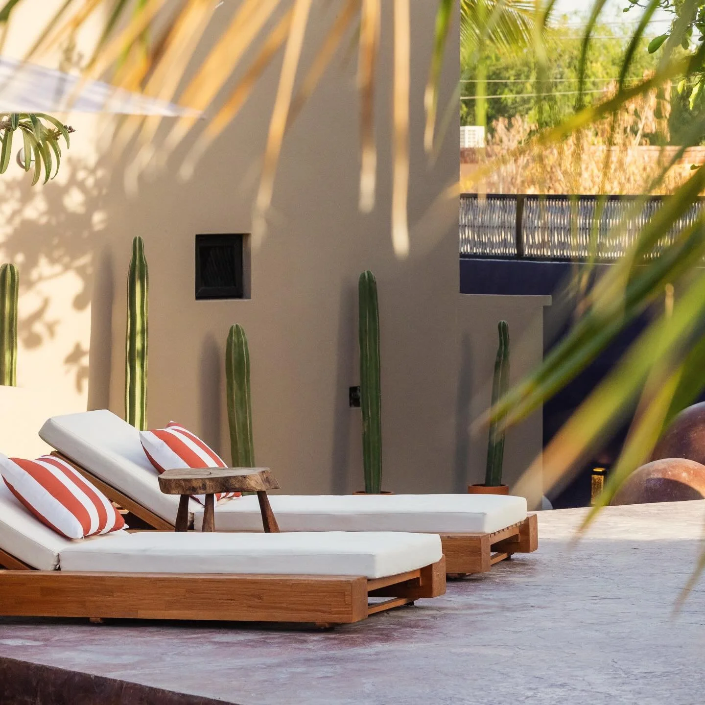 check in, throw your phone somewhere &amp; disappear for a bit 🌴

#LosBarriles #BajaSur #BoutiqueHotel #PoolsideVibes #StayInBaja