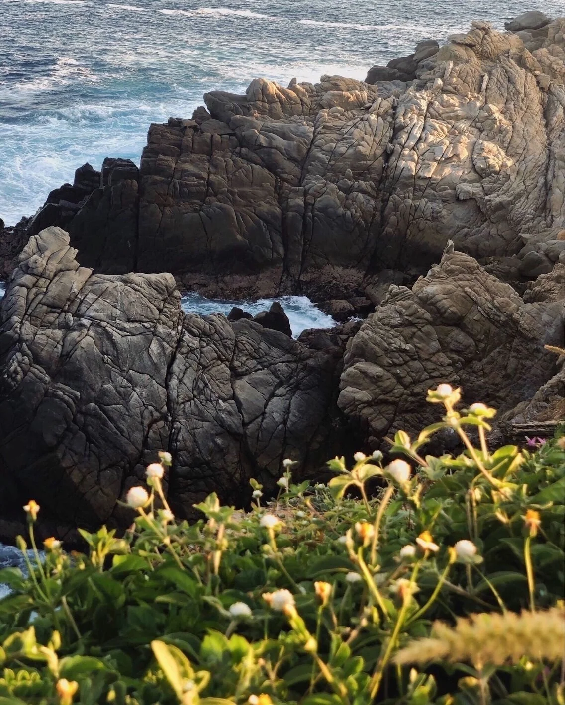 Nature