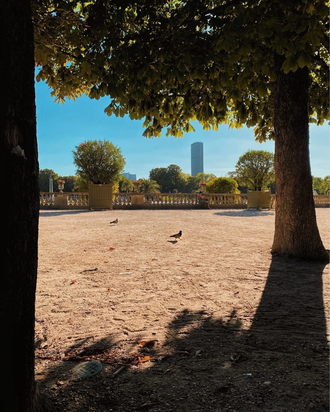 paris summer.jpg
