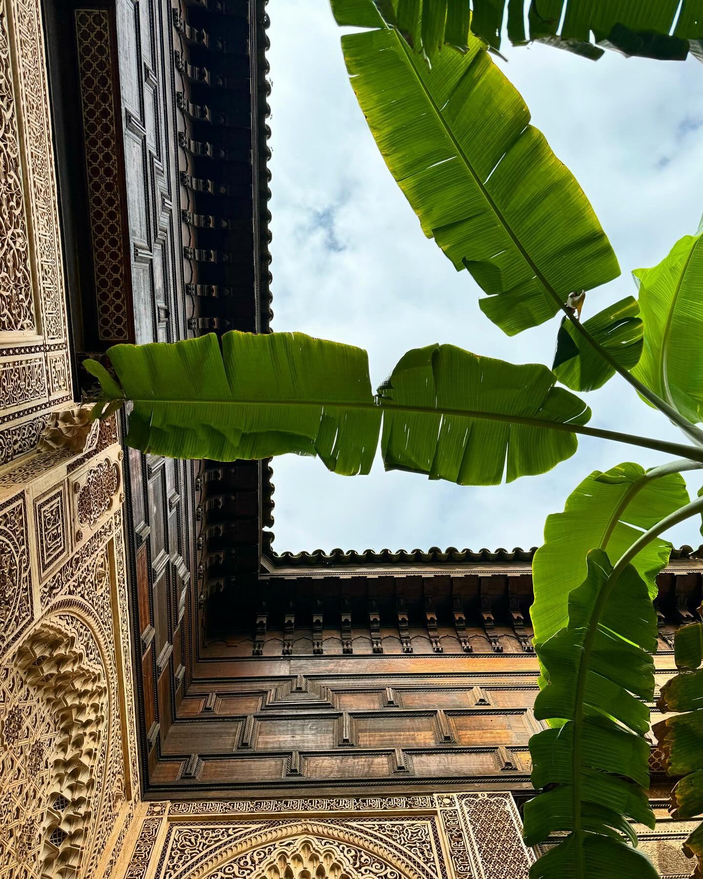 An upheaval of senses
🌴🐪🇲🇦

#morocco #marrakech #travelling #travelblog
#spring